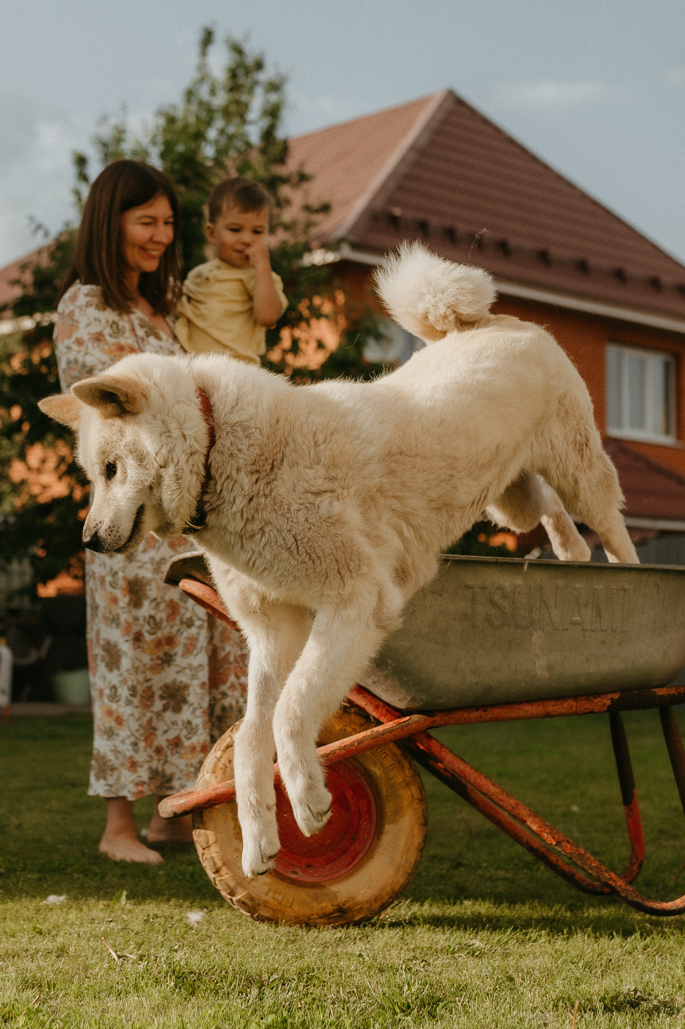 Для Маши, Рустама, Арсения, Дани и Юми. Семейный фотограф в Новомосковске, Туле и Москве Ольга Бубликова