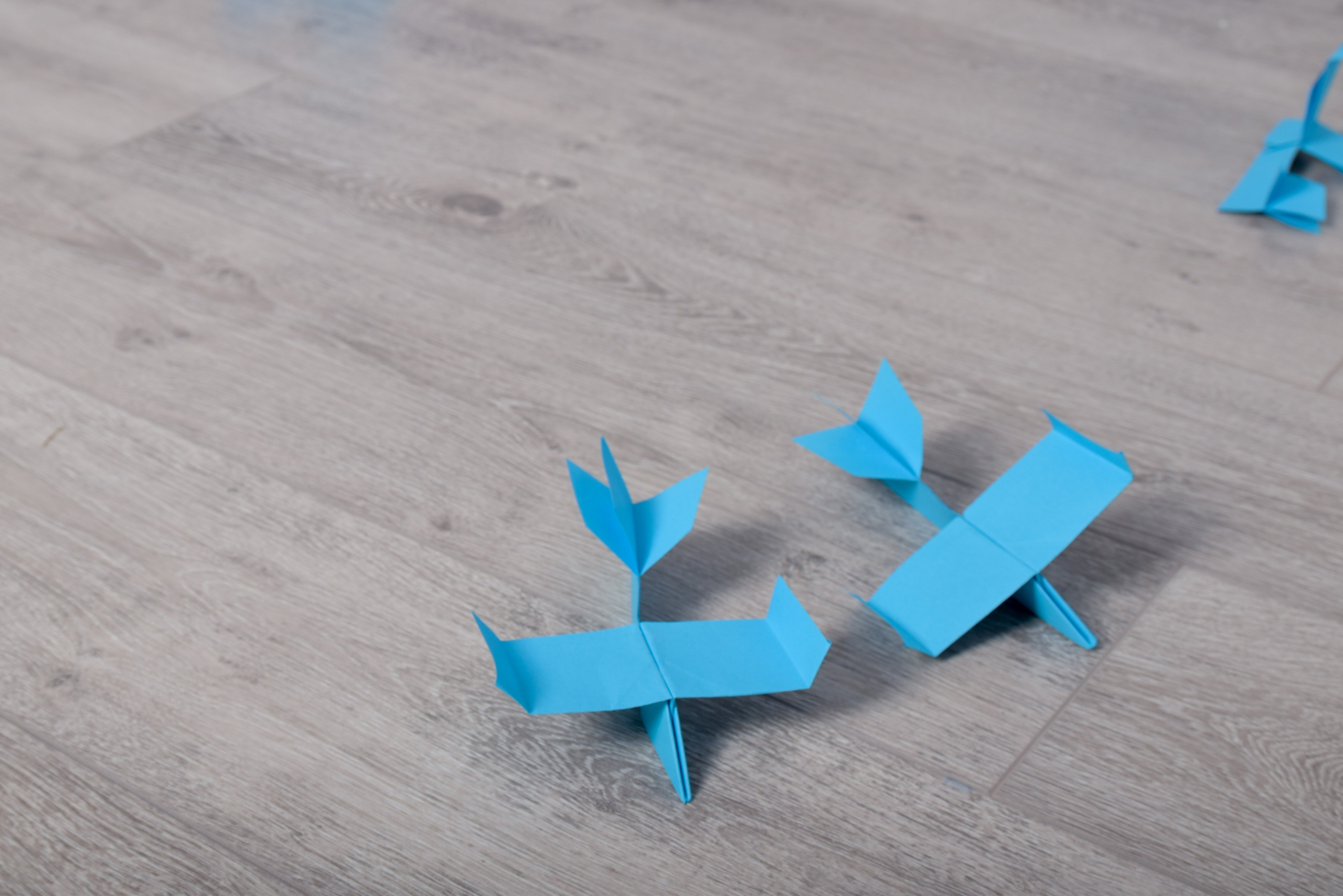 Семейная траектория. Фотограф Наталья Жильцова