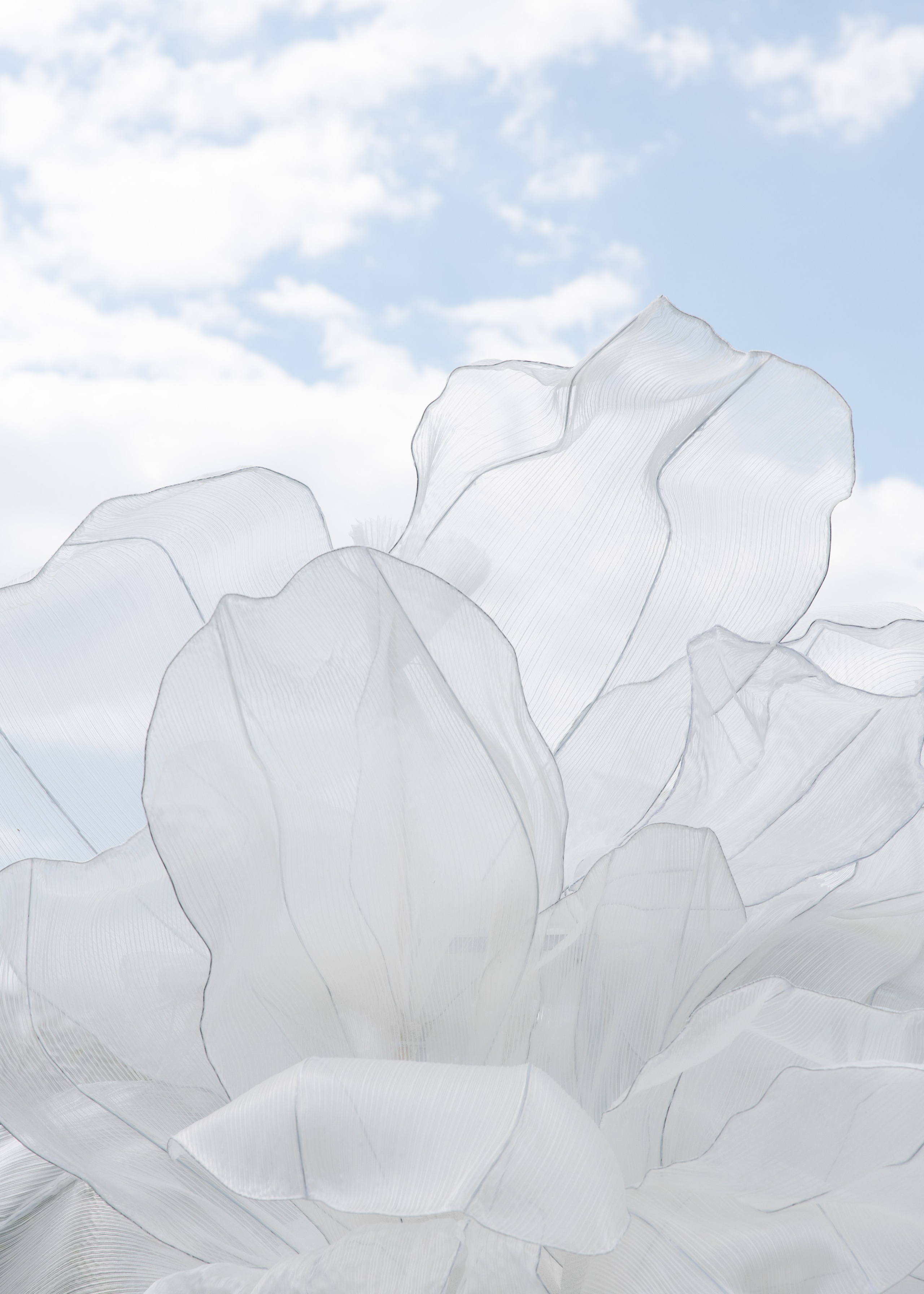 Океан любви Юлии и Алексея. Свадебный фотограф в Калининграде Ольга Пасечник