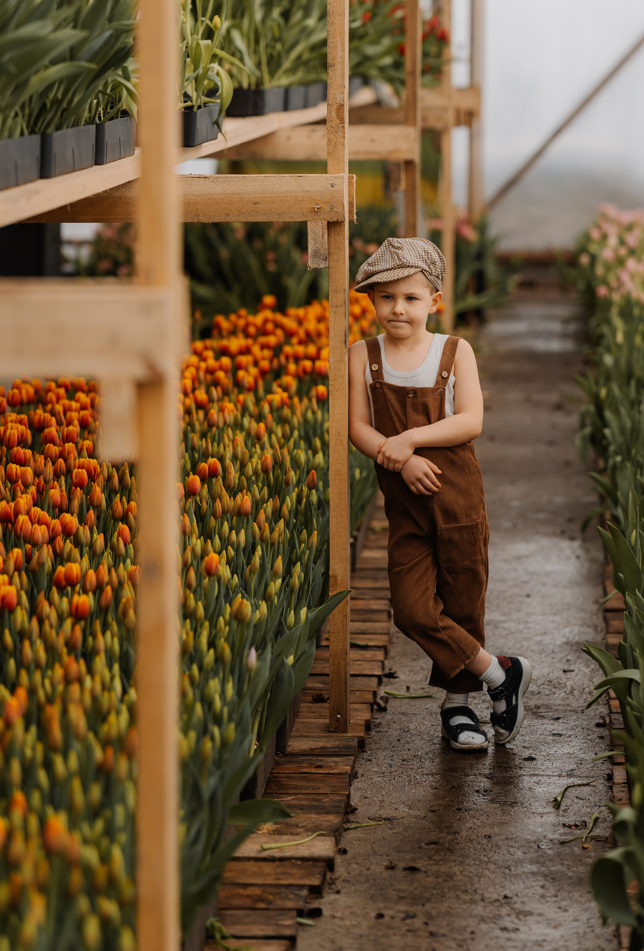 Мальчишки в тюльпанах. СВАДЕБНЫЙ ФОТОГРАФ КРАСНОЯРСК