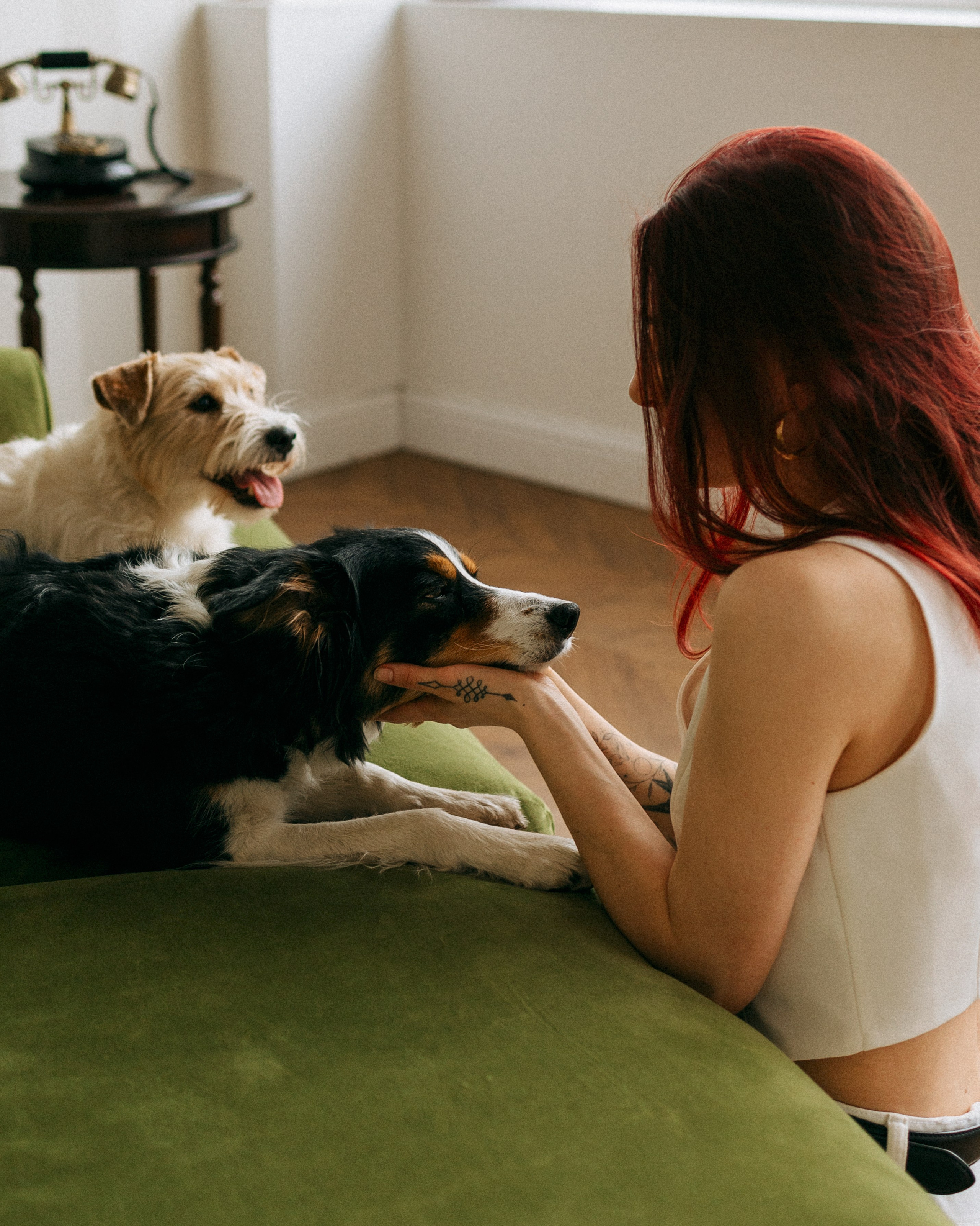 Цунами, Теон и Женя. Фотограф анималист Анастасия Пикей