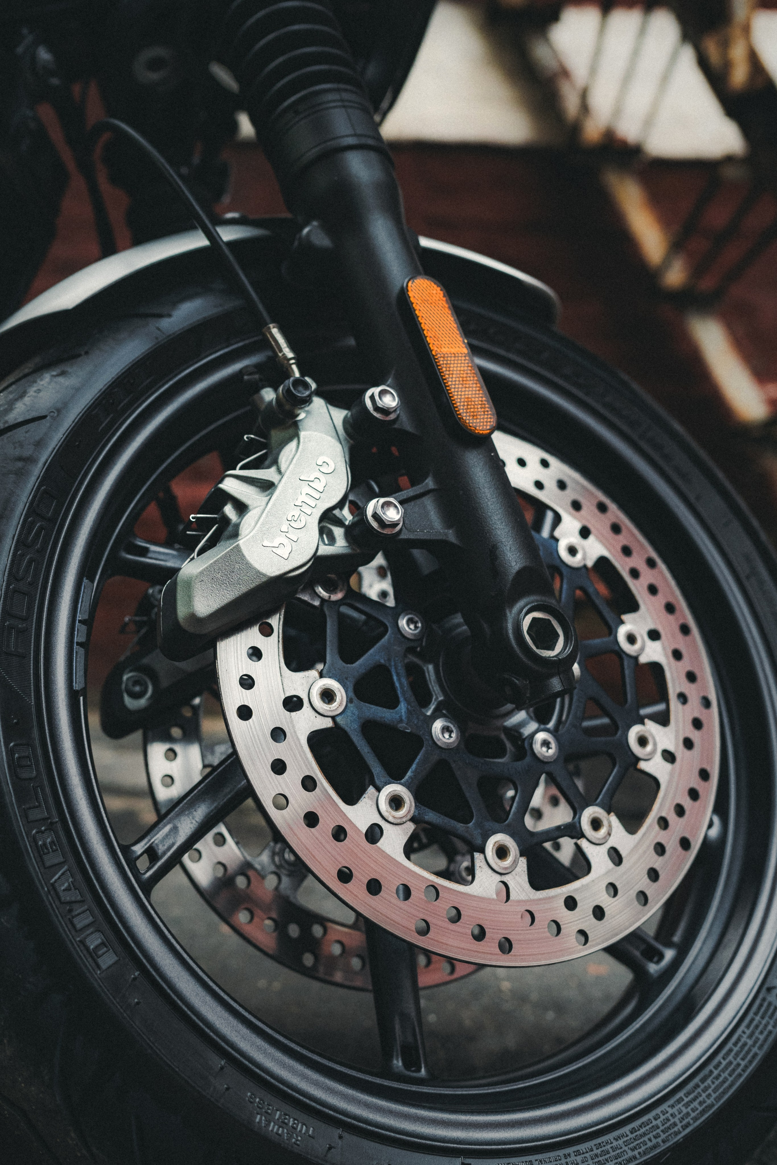 Triumph Speed Twin 1200 x Serge. Фотограф Илья К. в Москве