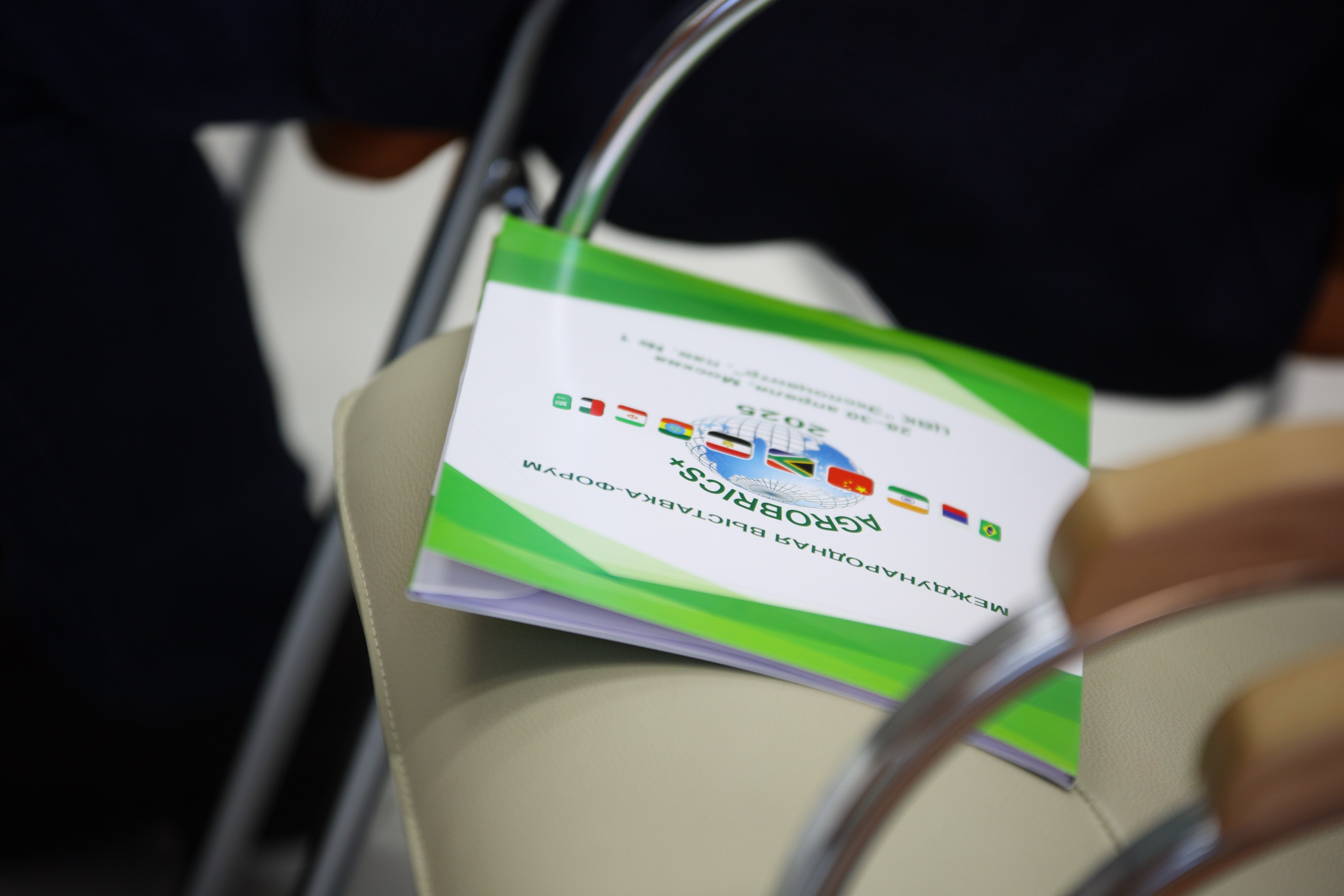 AGROBRICS. Концертный и репортажный фотограф в Москве и Санкт-Петербурге Мария