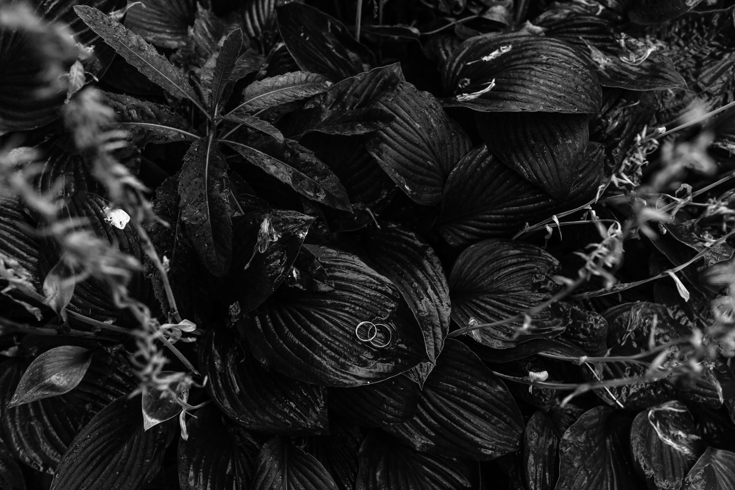 Свадебный фотограф Кирьянов Максим. Фотографирую в Москве, Коломне, Со