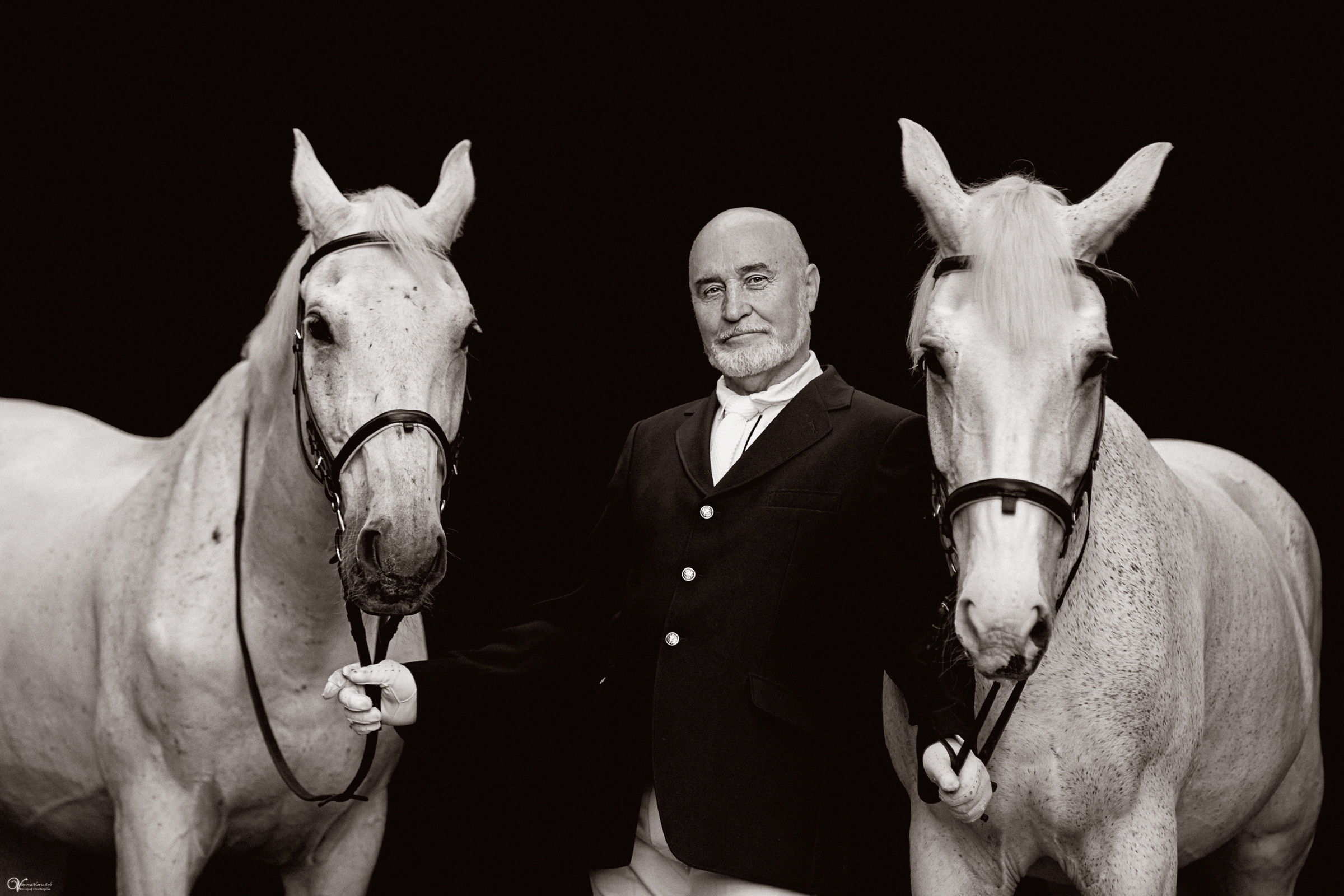 Портрет конника с одной лошадью. Фотограф женский и мужской портрет Санкт-Петербург