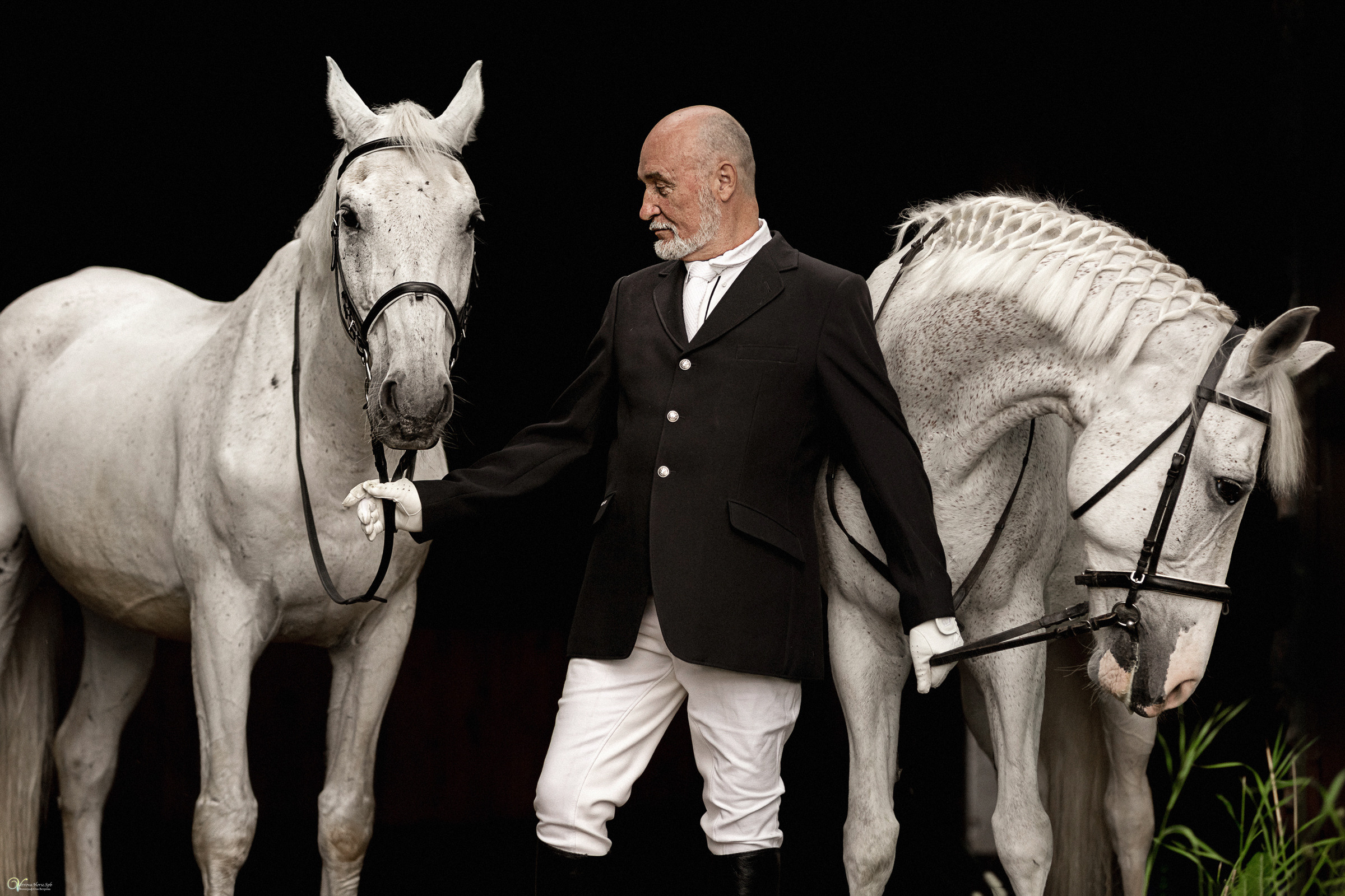 Портрет конника с одной лошадью. Фотограф женский и мужской портрет Санкт-Петербург