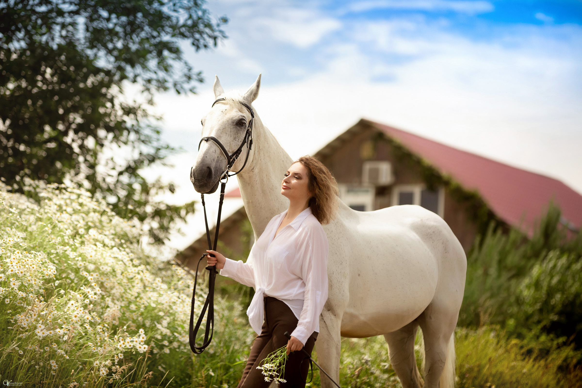 В поле с ромашками. Фотограф женский и мужской портрет Санкт-Петербург