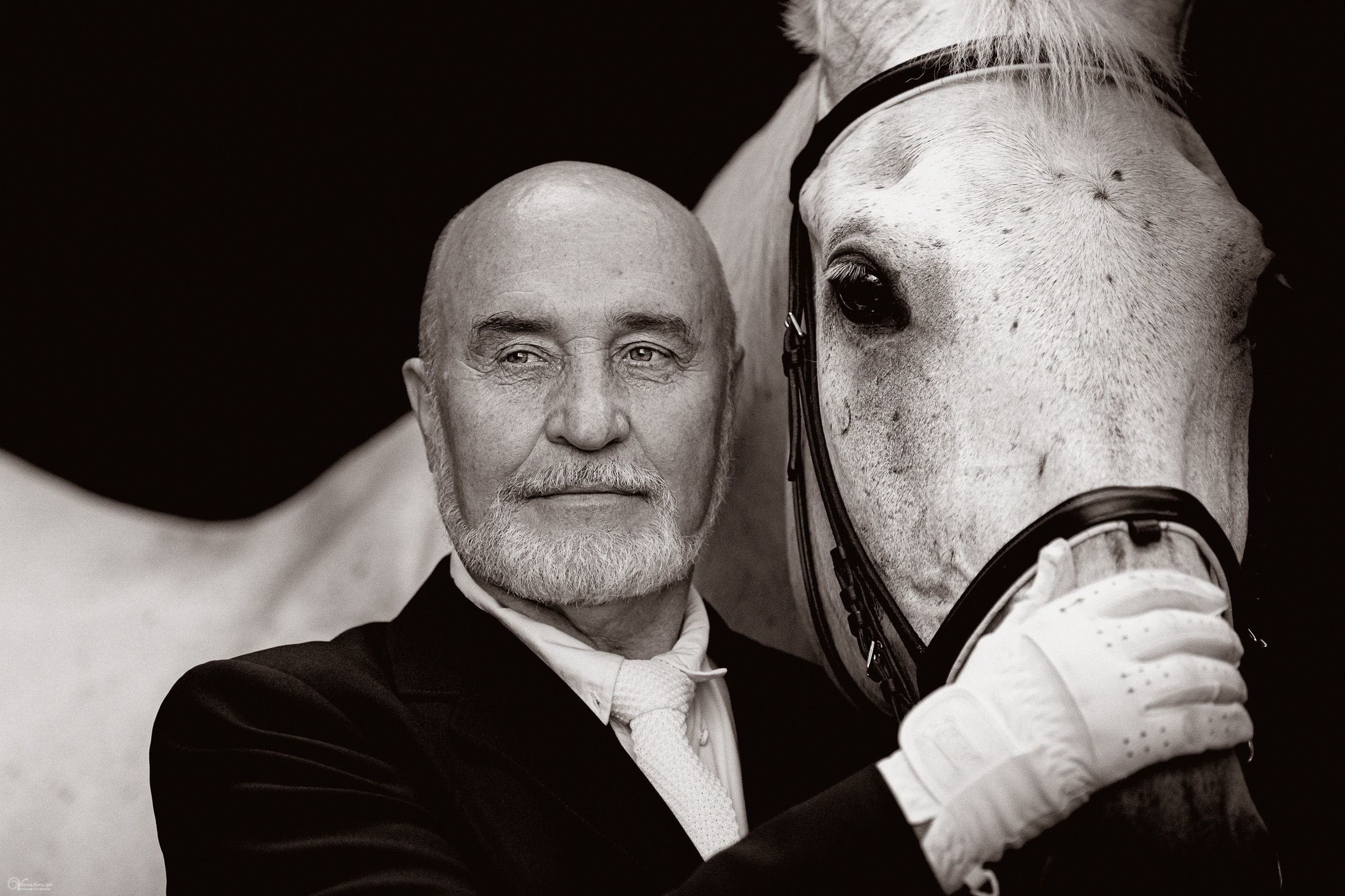 Портрет конника с одной лошадью. Фотограф женский и мужской портрет Санкт-Петербург