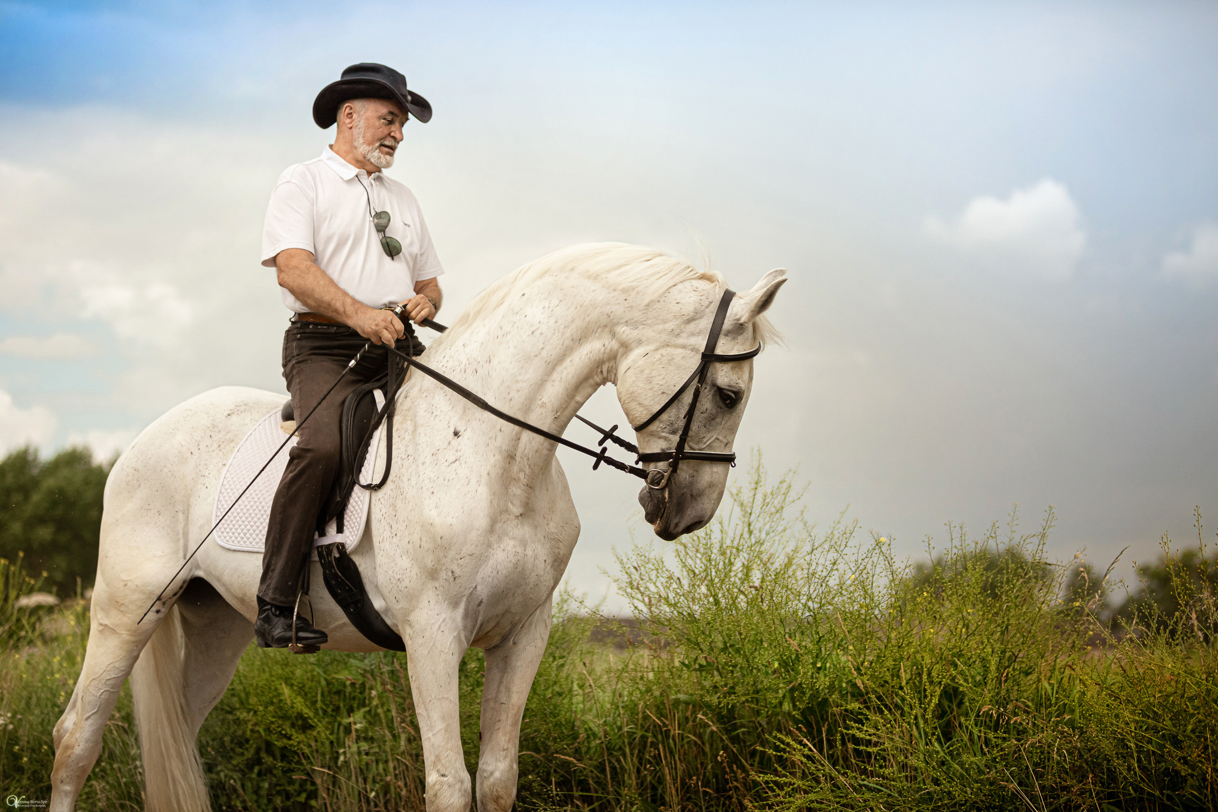 Мужской портрет верхом. Фотограф женский и мужской портрет Санкт-Петербург