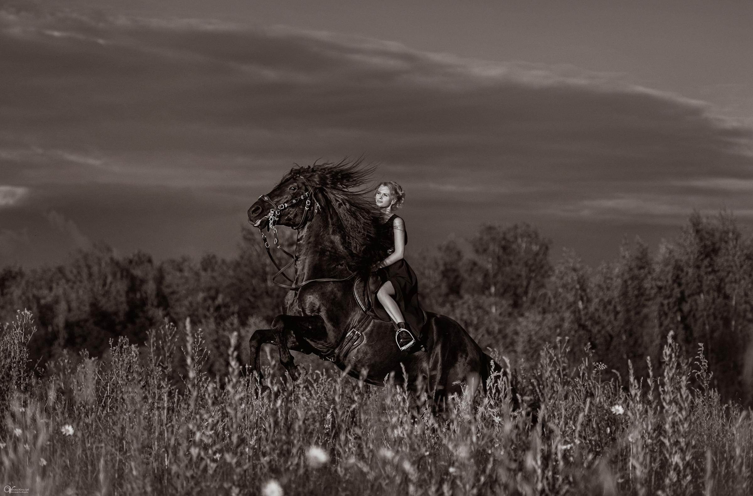 Олеся и Домаско. Фотограф женский и мужской портрет Санкт-Петербург
