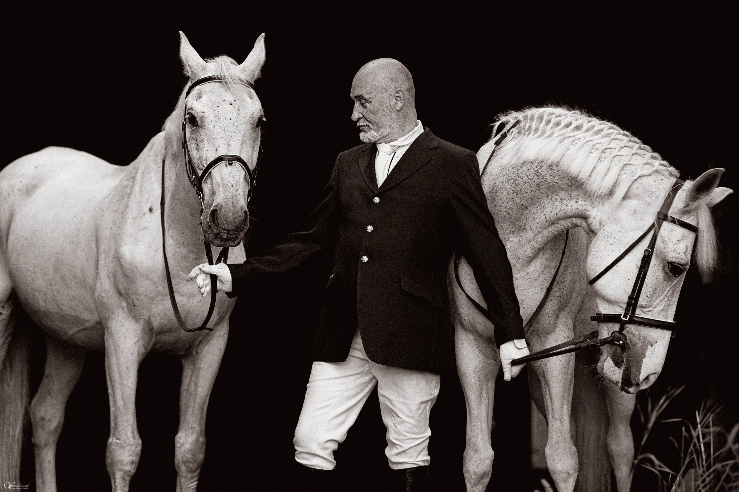 Портрет конника с одной лошадью. Фотограф женский и мужской портрет Санкт-Петербург