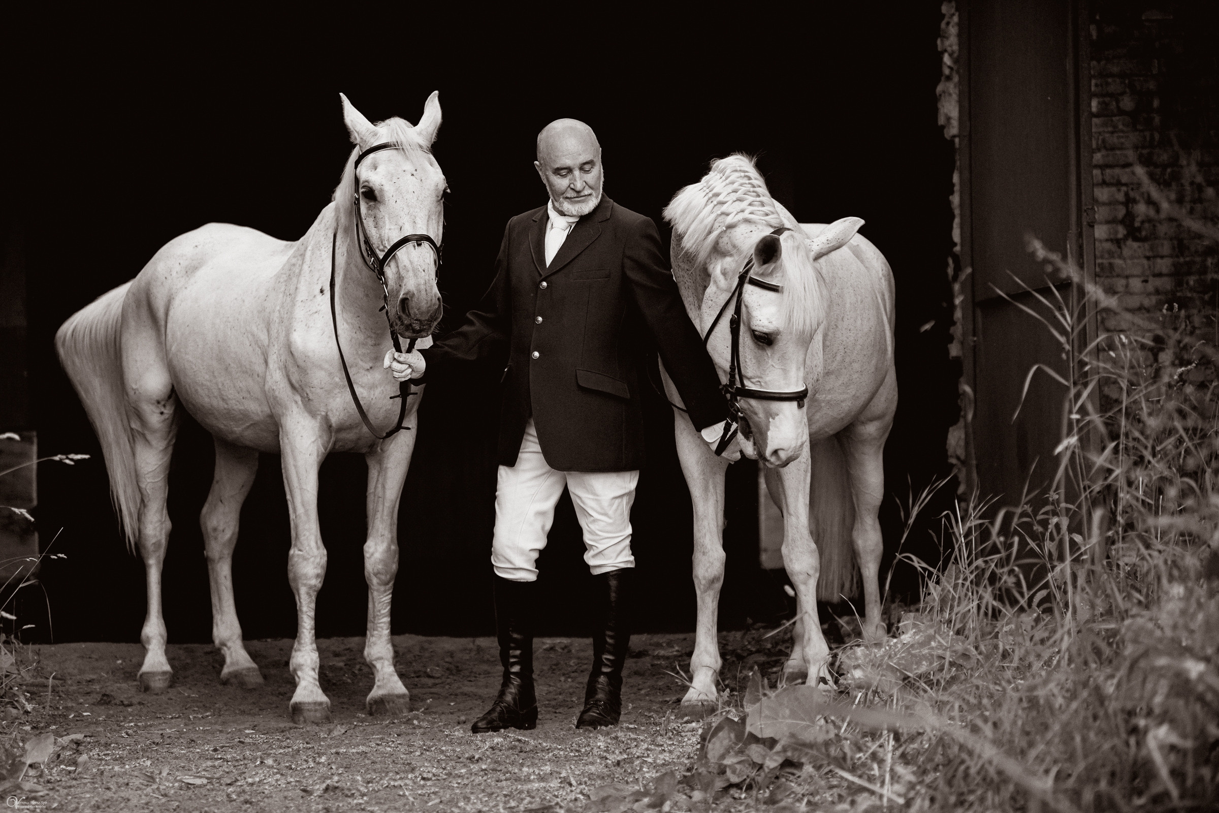 Портрет конника с одной лошадью. Фотограф женский и мужской портрет Санкт-Петербург