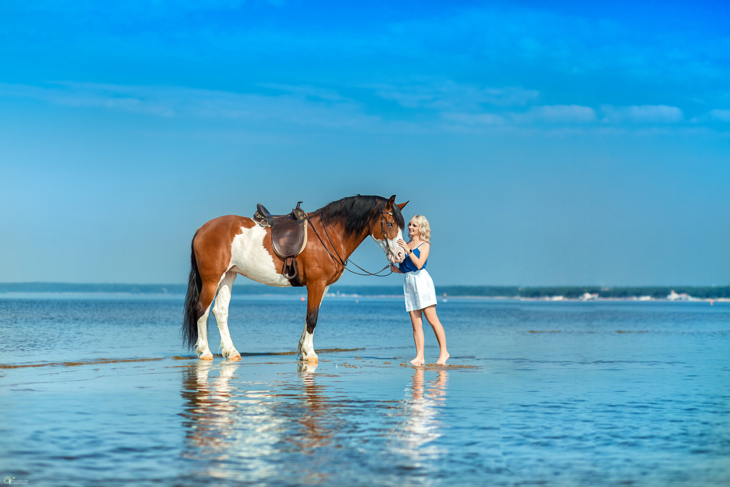 Лика и Лола. Фотограф женский и мужской портрет Санкт-Петербург