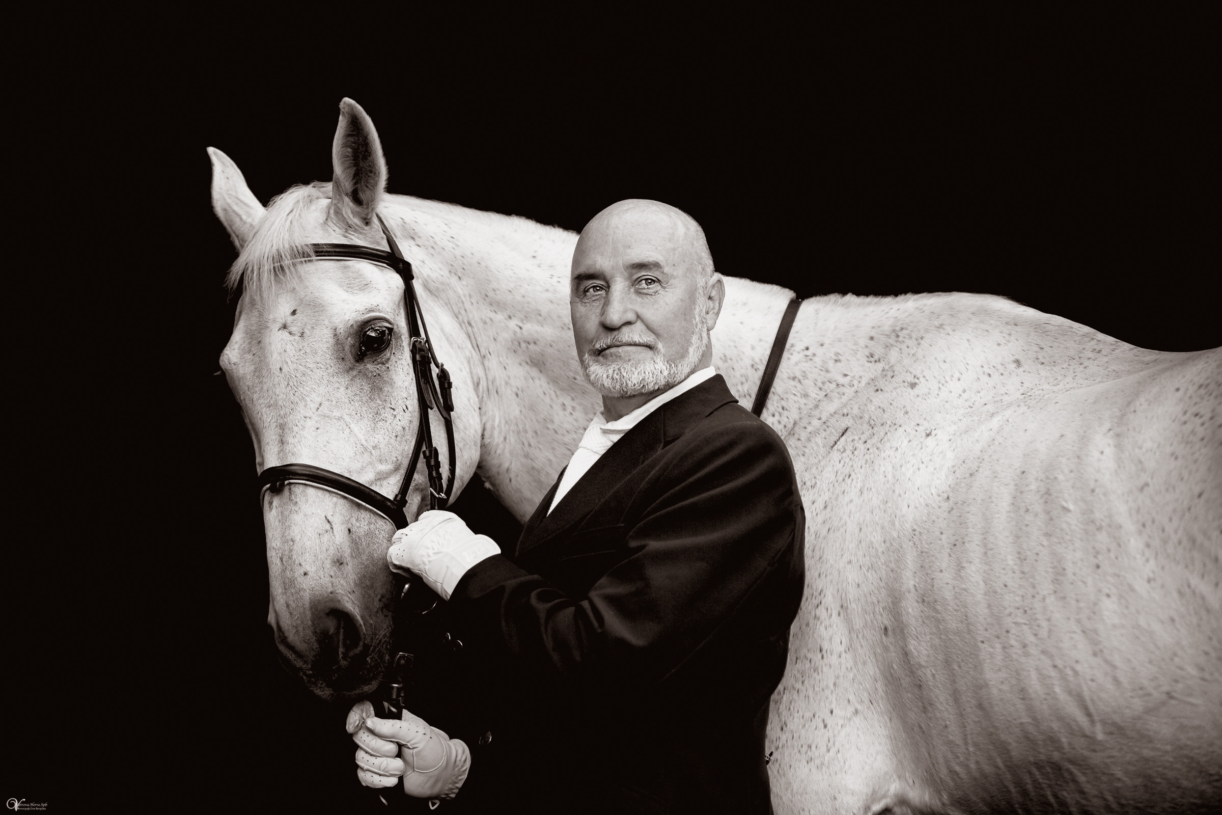Портрет конника с одной лошадью. Фотограф женский и мужской портрет Санкт-Петербург