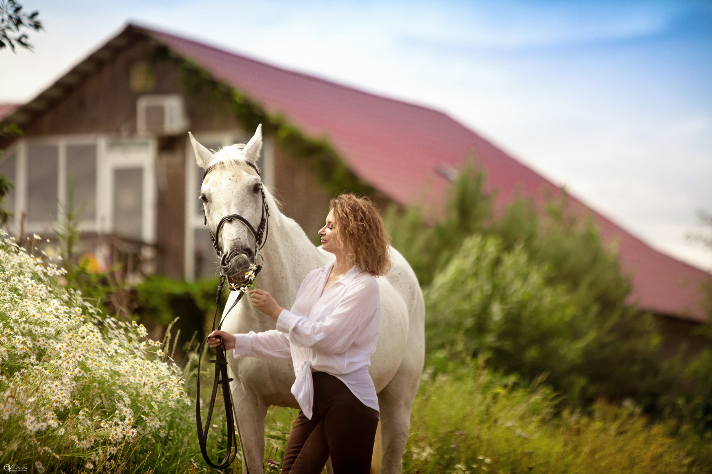 В поле с ромашками. Фотограф женский и мужской портрет Санкт-Петербург
