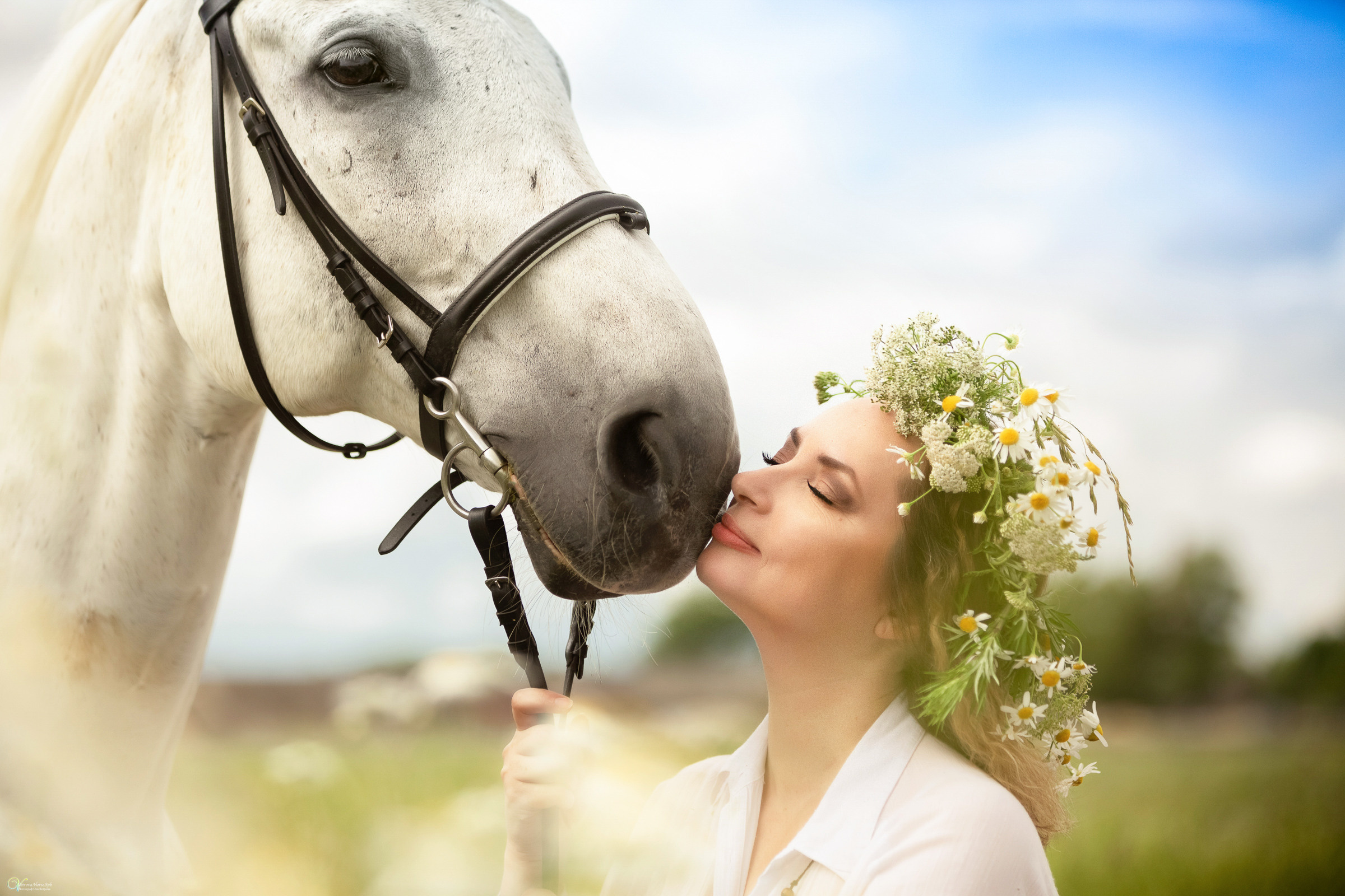 В поле с ромашками. Фотограф женский и мужской портрет Санкт-Петербург
