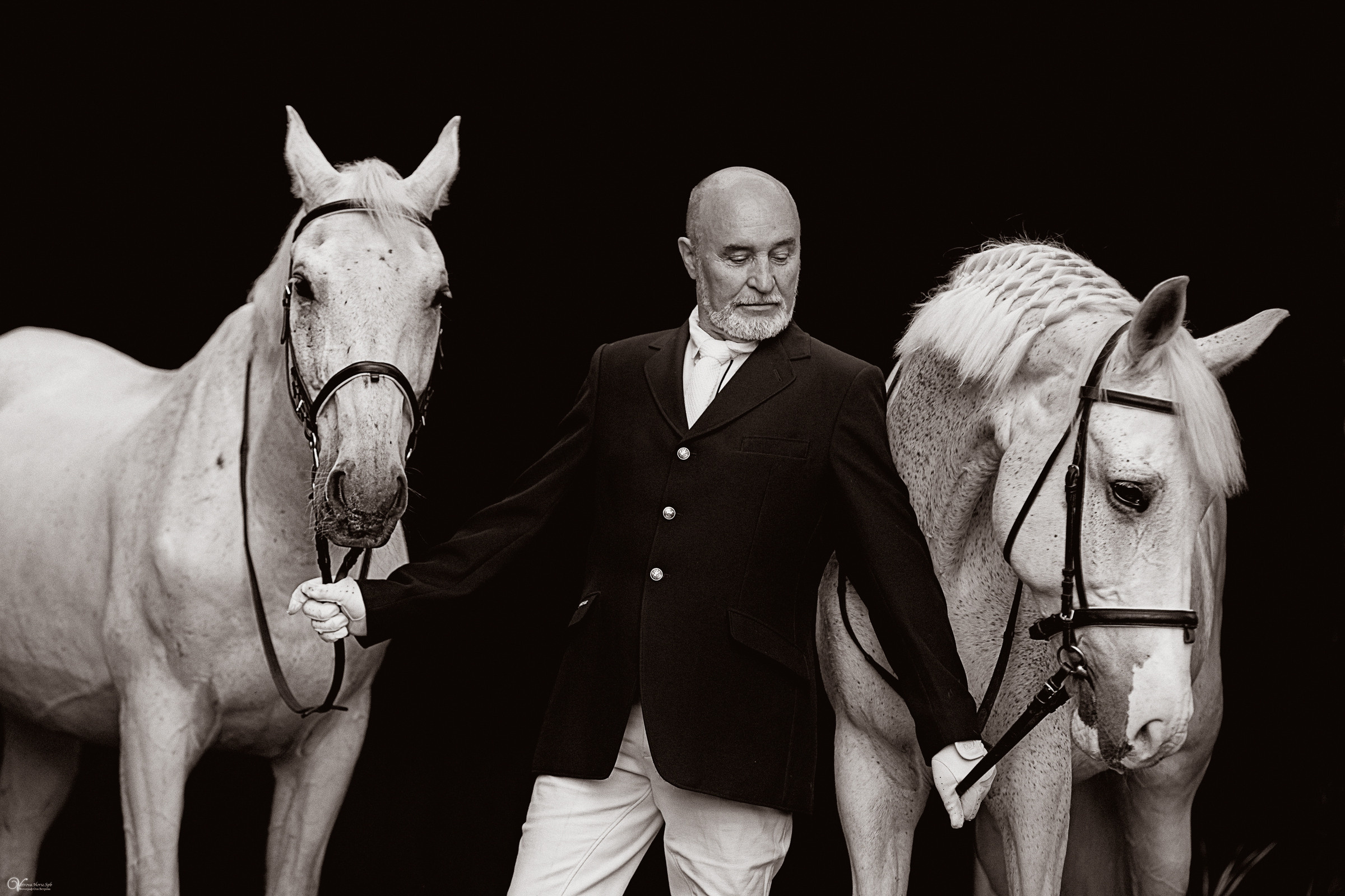 Портрет конника с одной лошадью. Фотограф женский и мужской портрет Санкт-Петербург