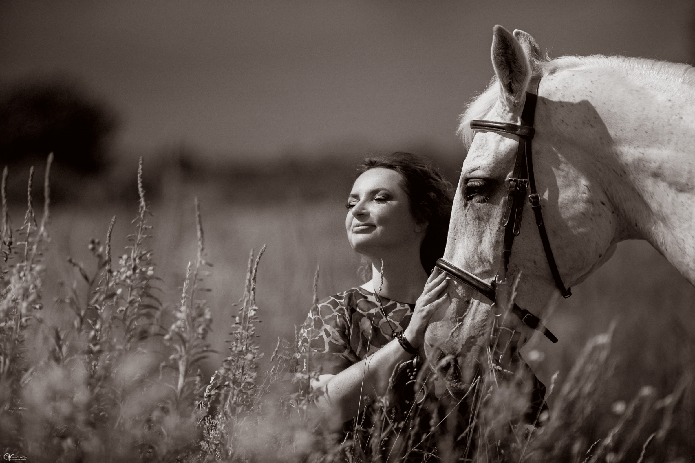 В поле с иван-чаем. Фотограф женский и мужской портрет Санкт-Петербург