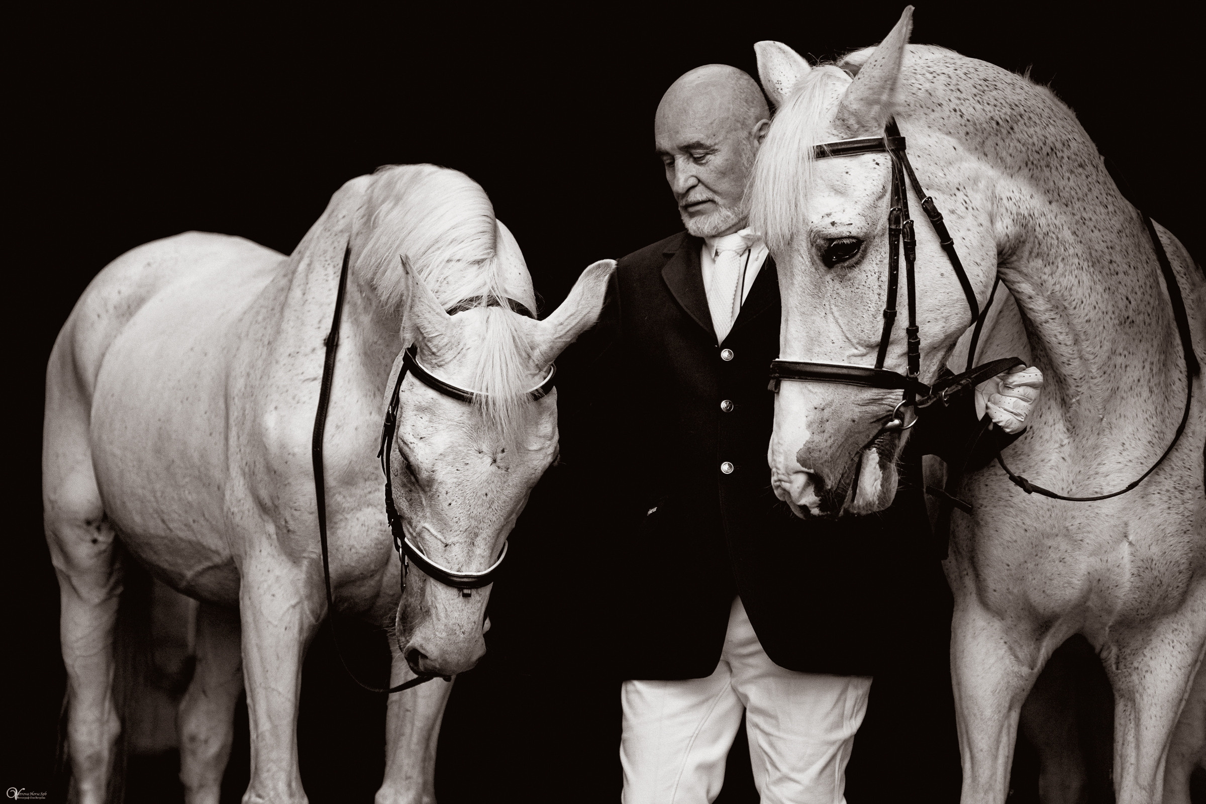 Портрет конника с одной лошадью. Фотограф женский и мужской портрет Санкт-Петербург