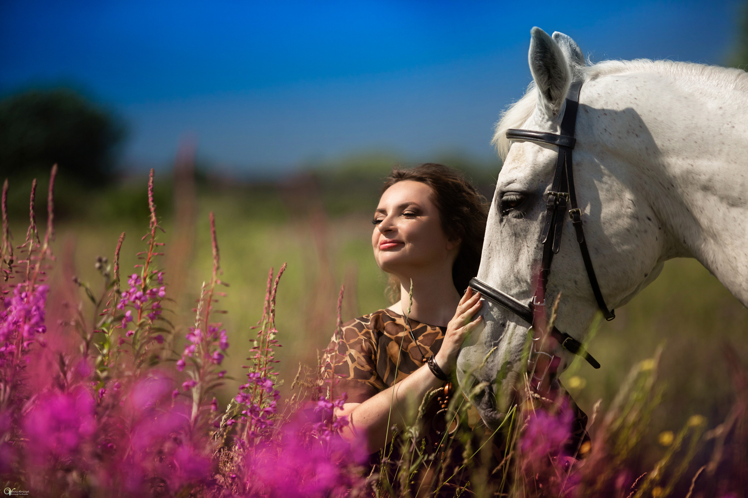 В поле с иван-чаем. Фотограф женский и мужской портрет Санкт-Петербург