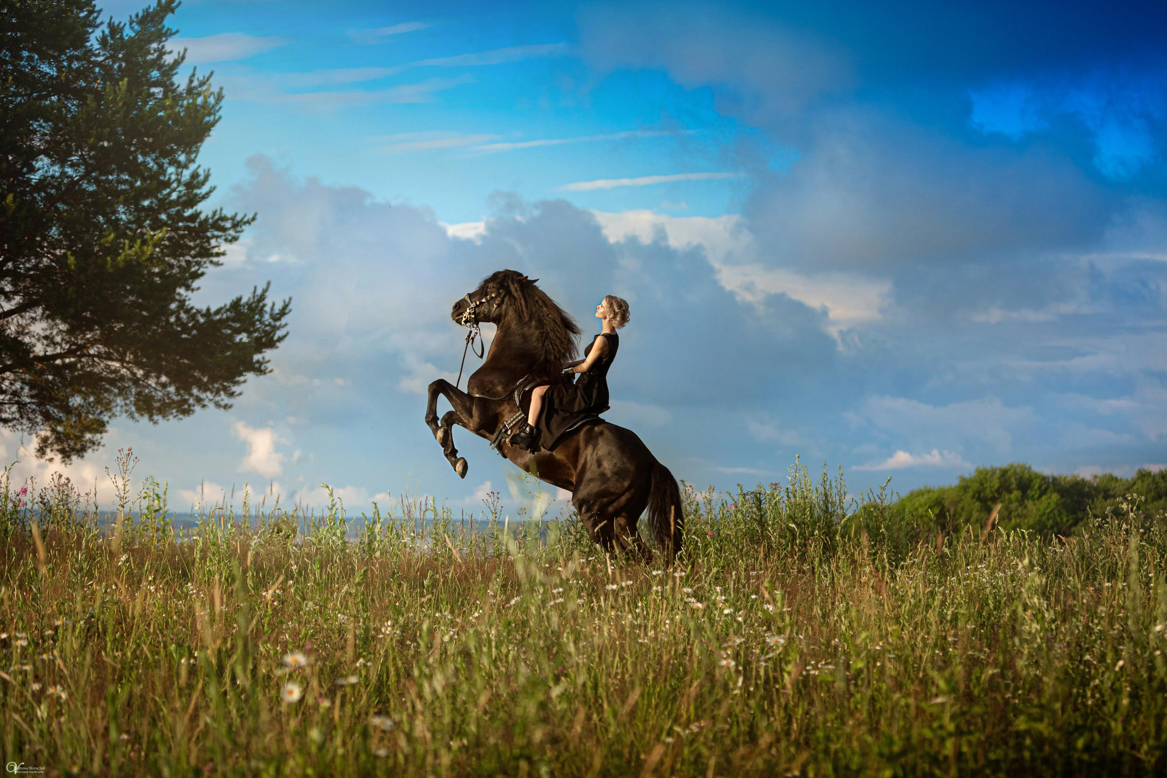 Олеся и Домаско. Фотограф женский и мужской портрет Санкт-Петербург