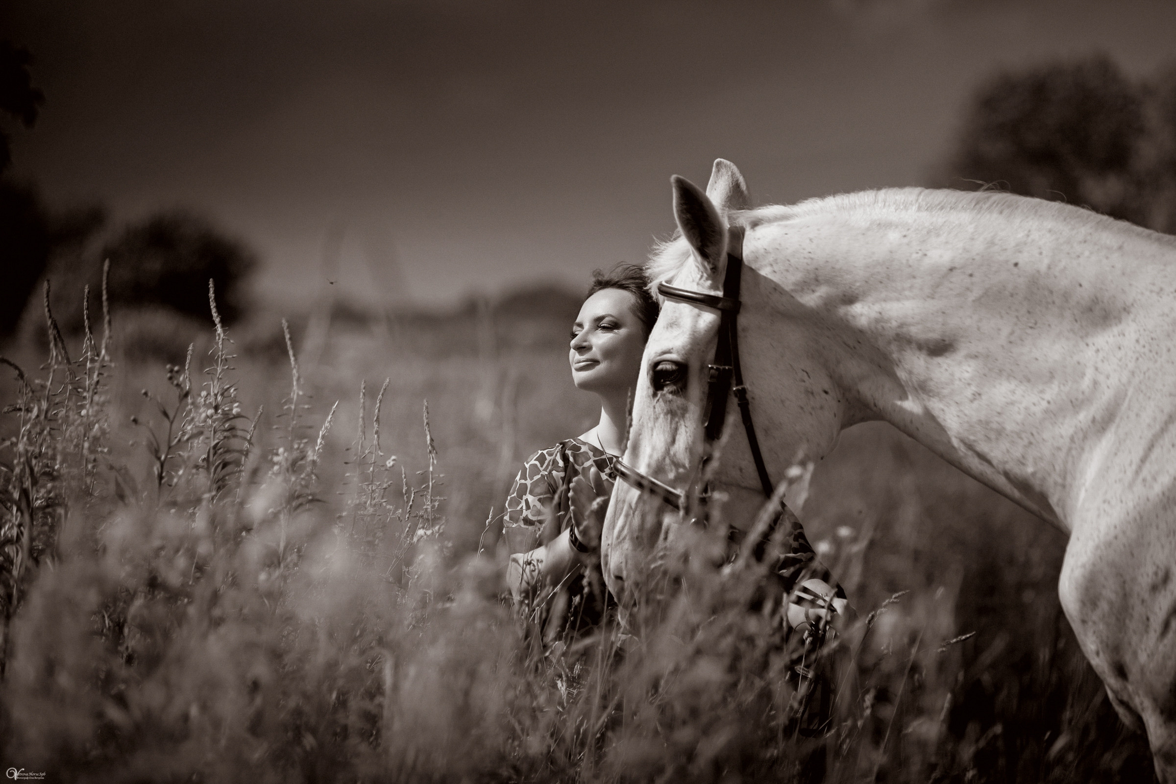 В поле с иван-чаем. Фотограф женский и мужской портрет Санкт-Петербург