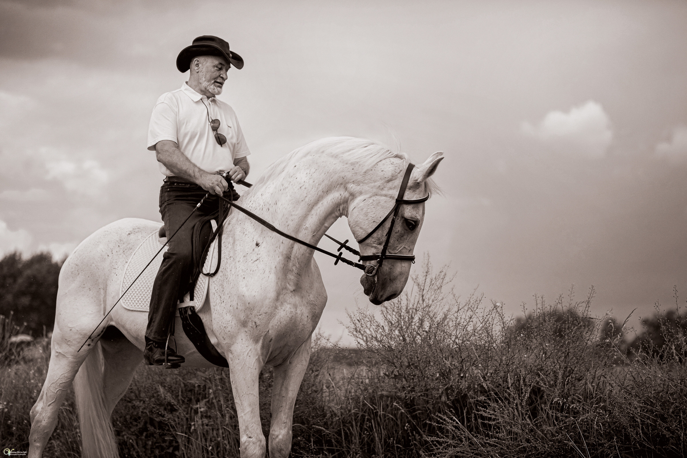 Мужской портрет верхом. Фотограф женский и мужской портрет Санкт-Петербург