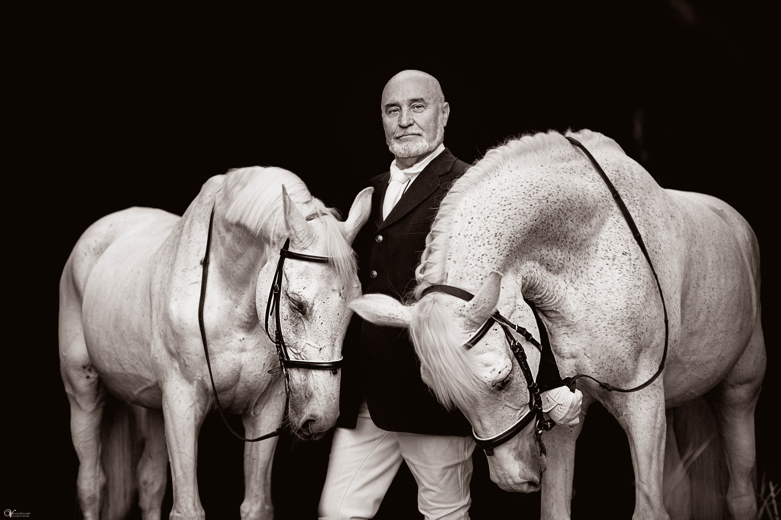 Портрет конника с одной лошадью. Фотограф женский и мужской портрет Санкт-Петербург