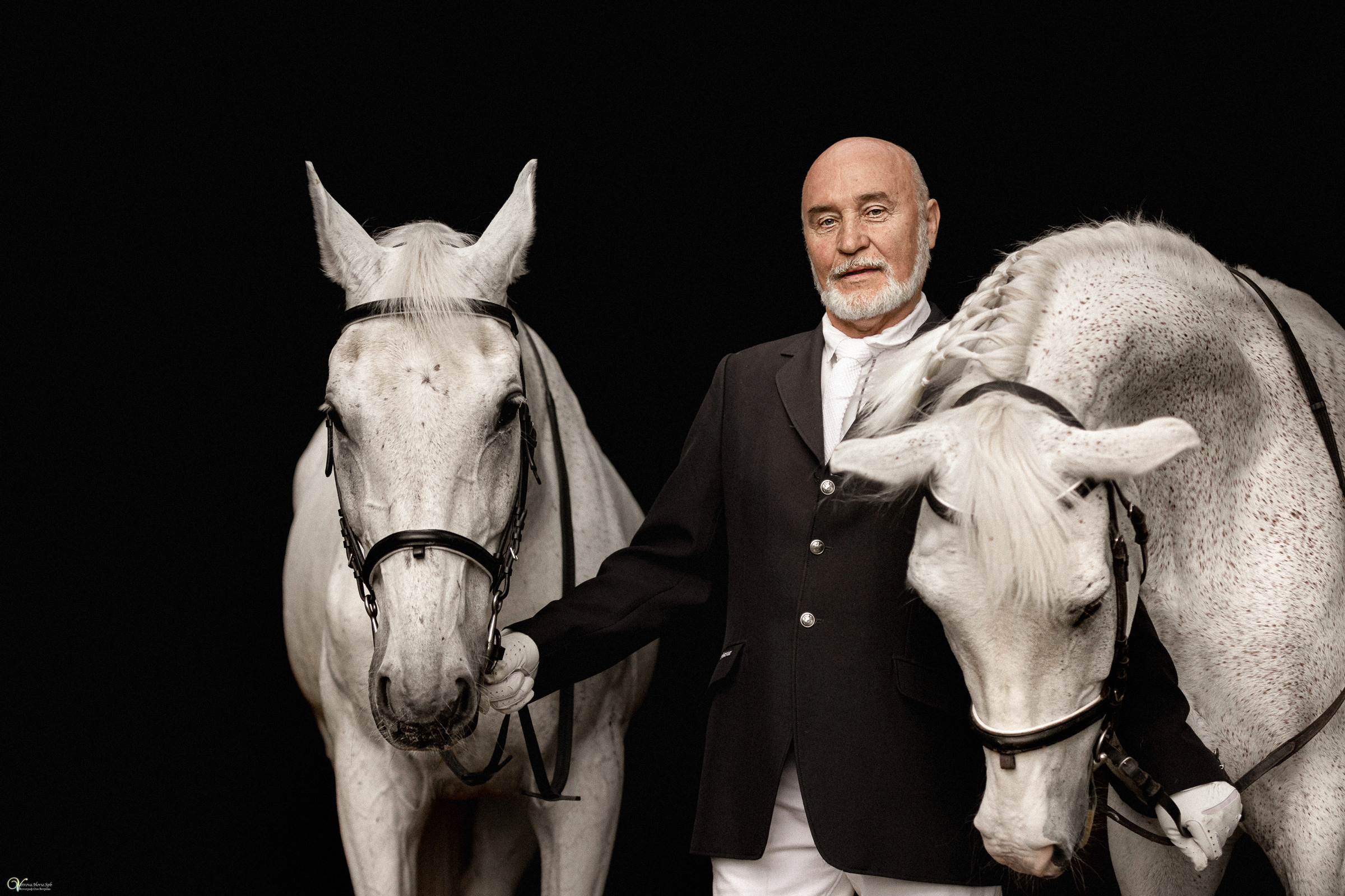 Портрет конника с одной лошадью. Фотограф женский и мужской портрет Санкт-Петербург