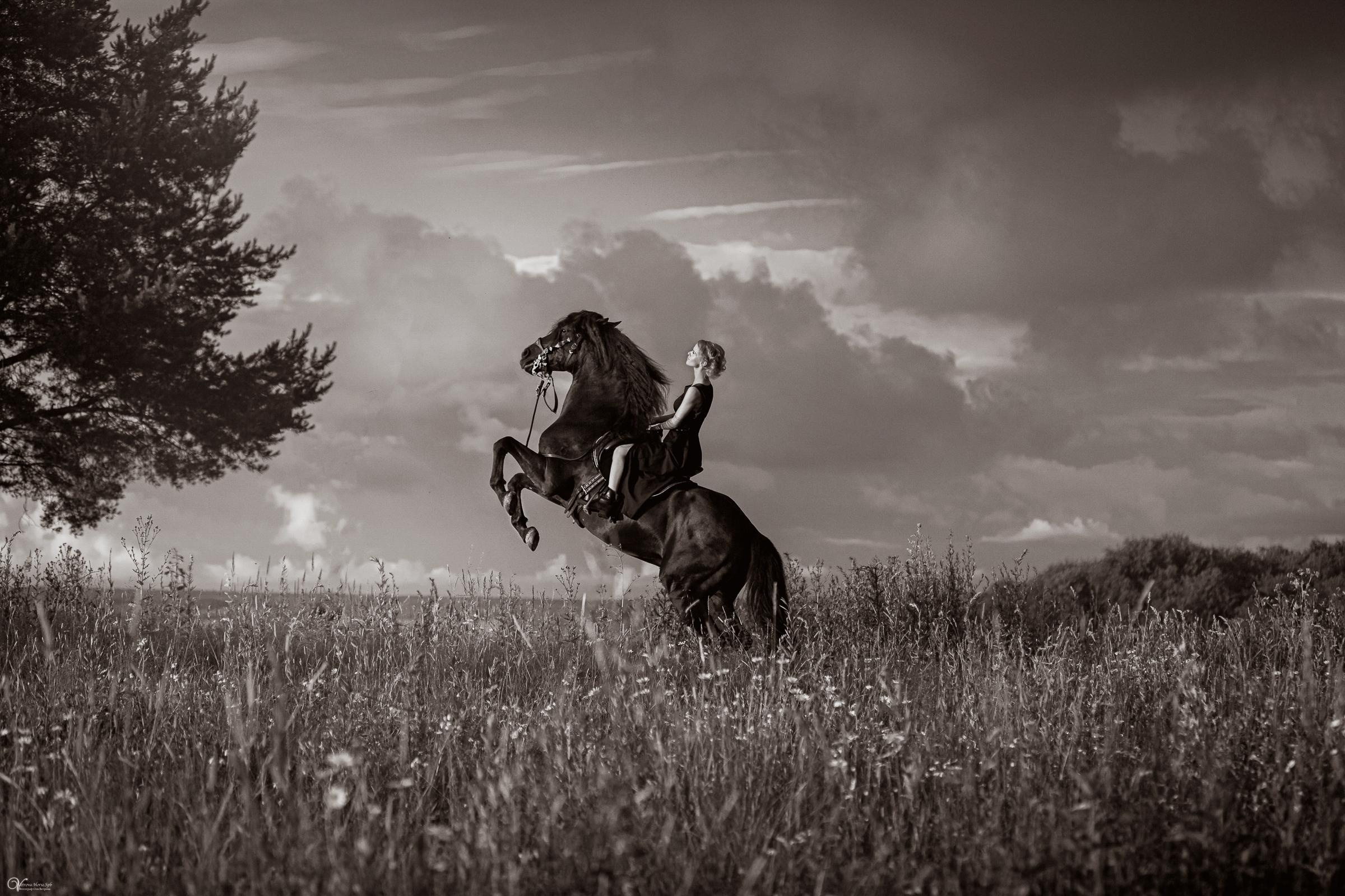 Олеся и Домаско. Фотограф женский и мужской портрет Санкт-Петербург