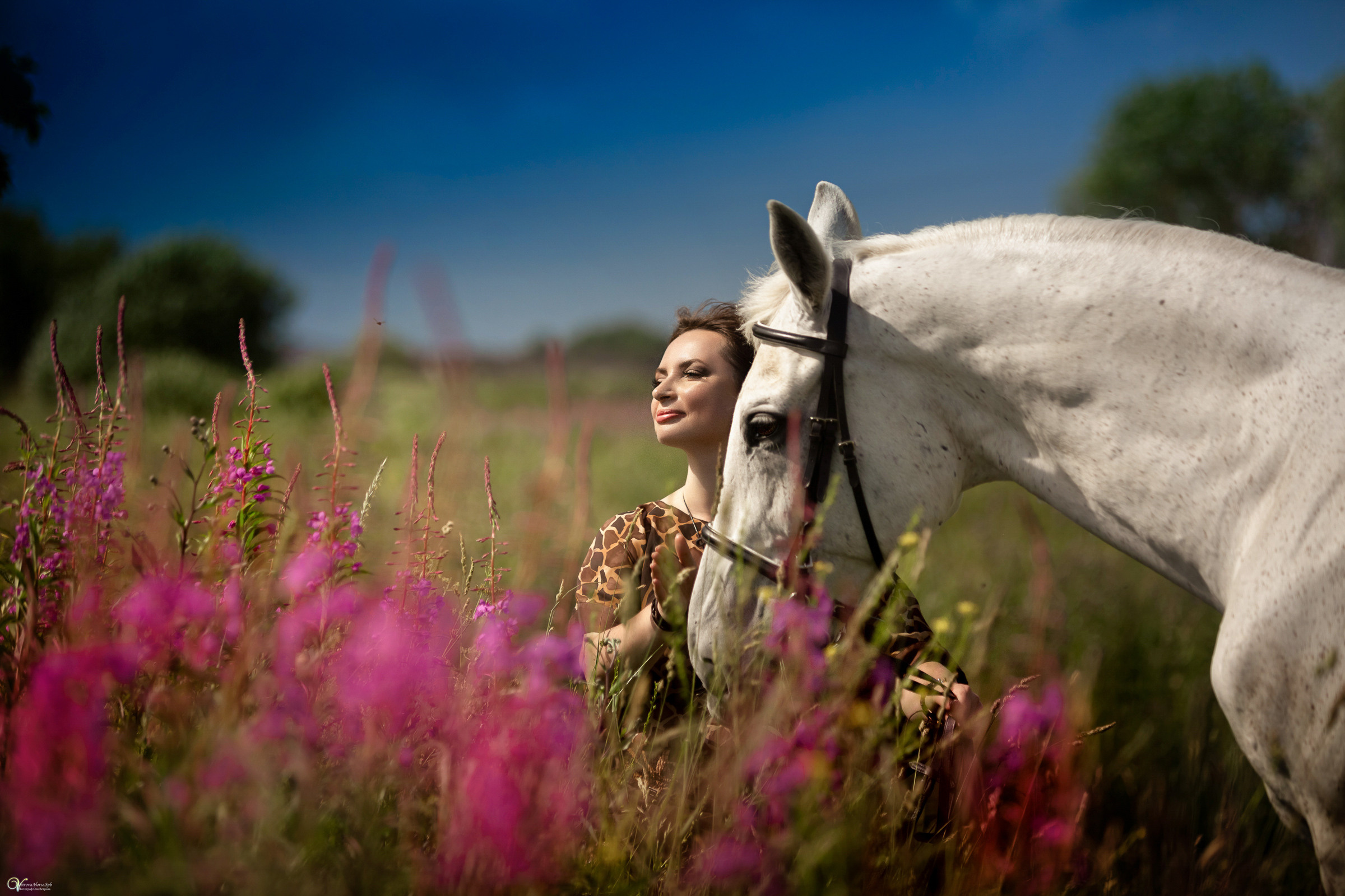 В поле с иван-чаем. Фотограф женский и мужской портрет Санкт-Петербург