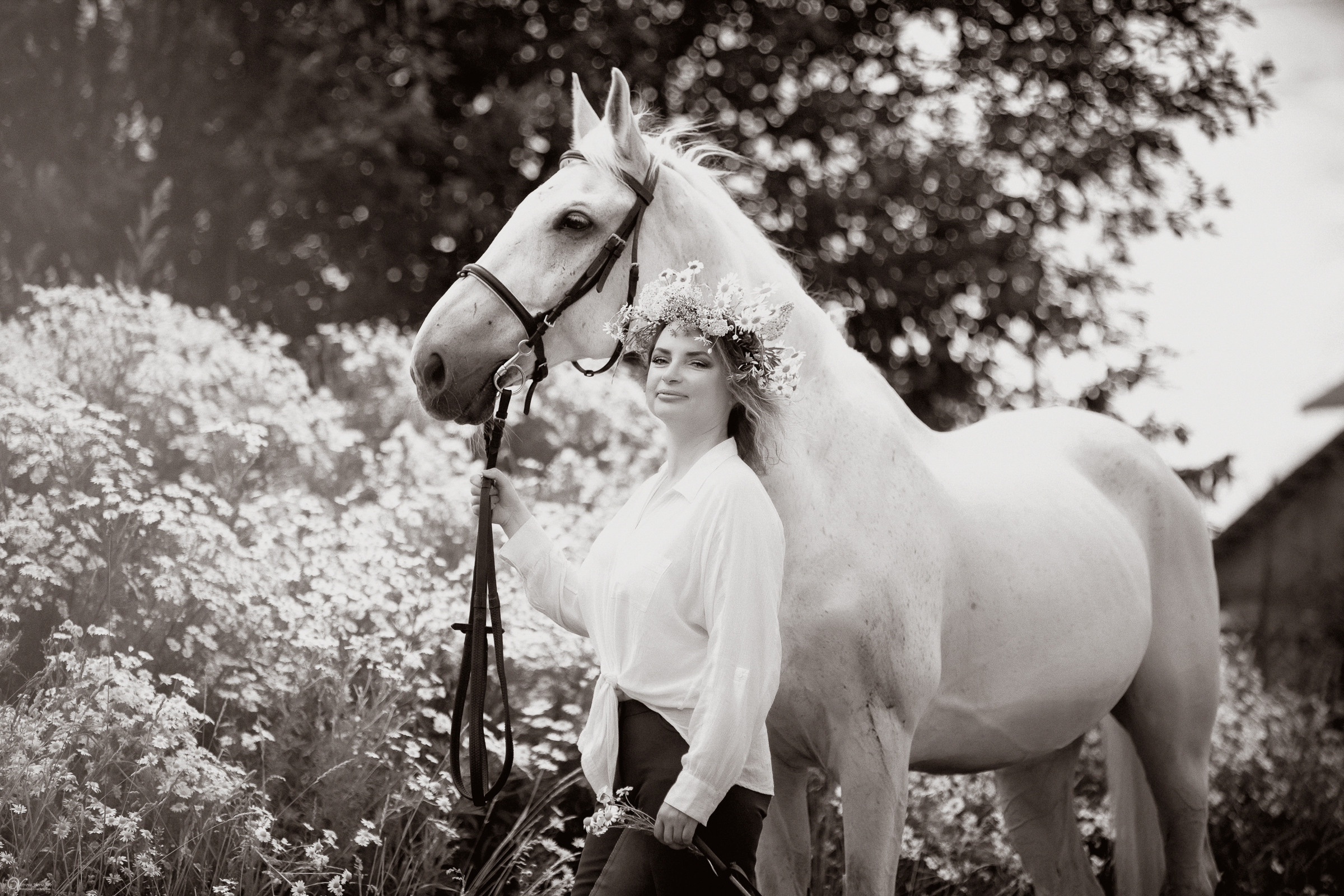 В поле с ромашками. Фотограф женский и мужской портрет Санкт-Петербург