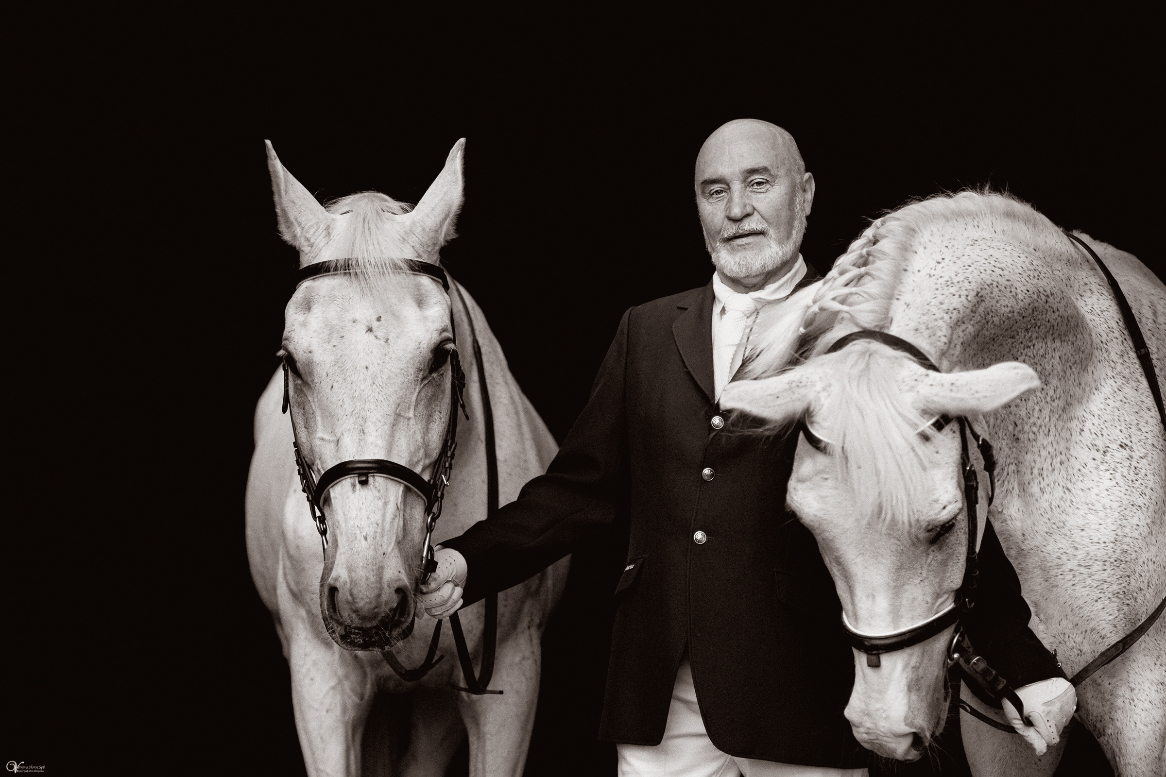 Портрет конника с одной лошадью. Фотограф женский и мужской портрет Санкт-Петербург