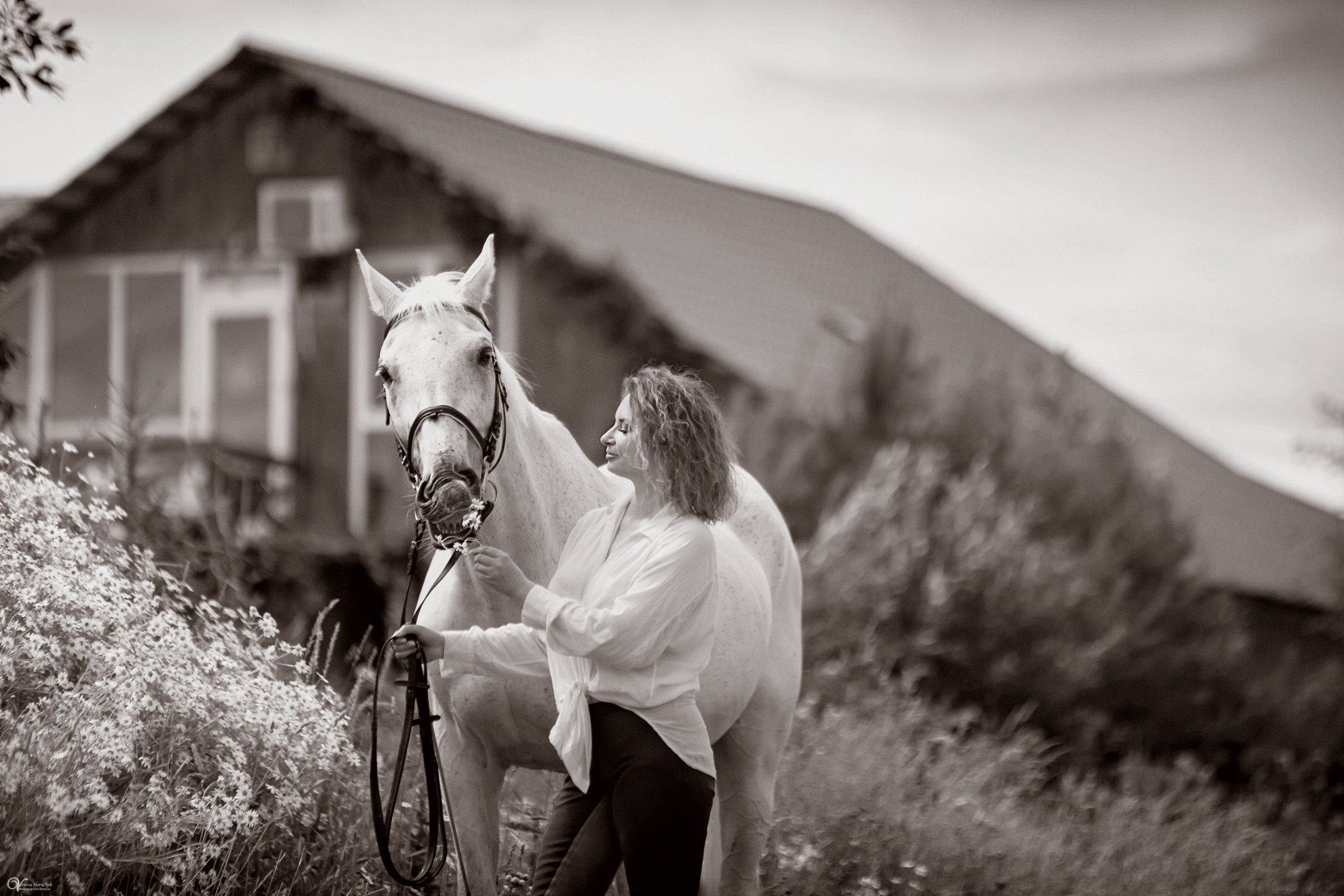 В поле с ромашками. Фотограф женский и мужской портрет Санкт-Петербург