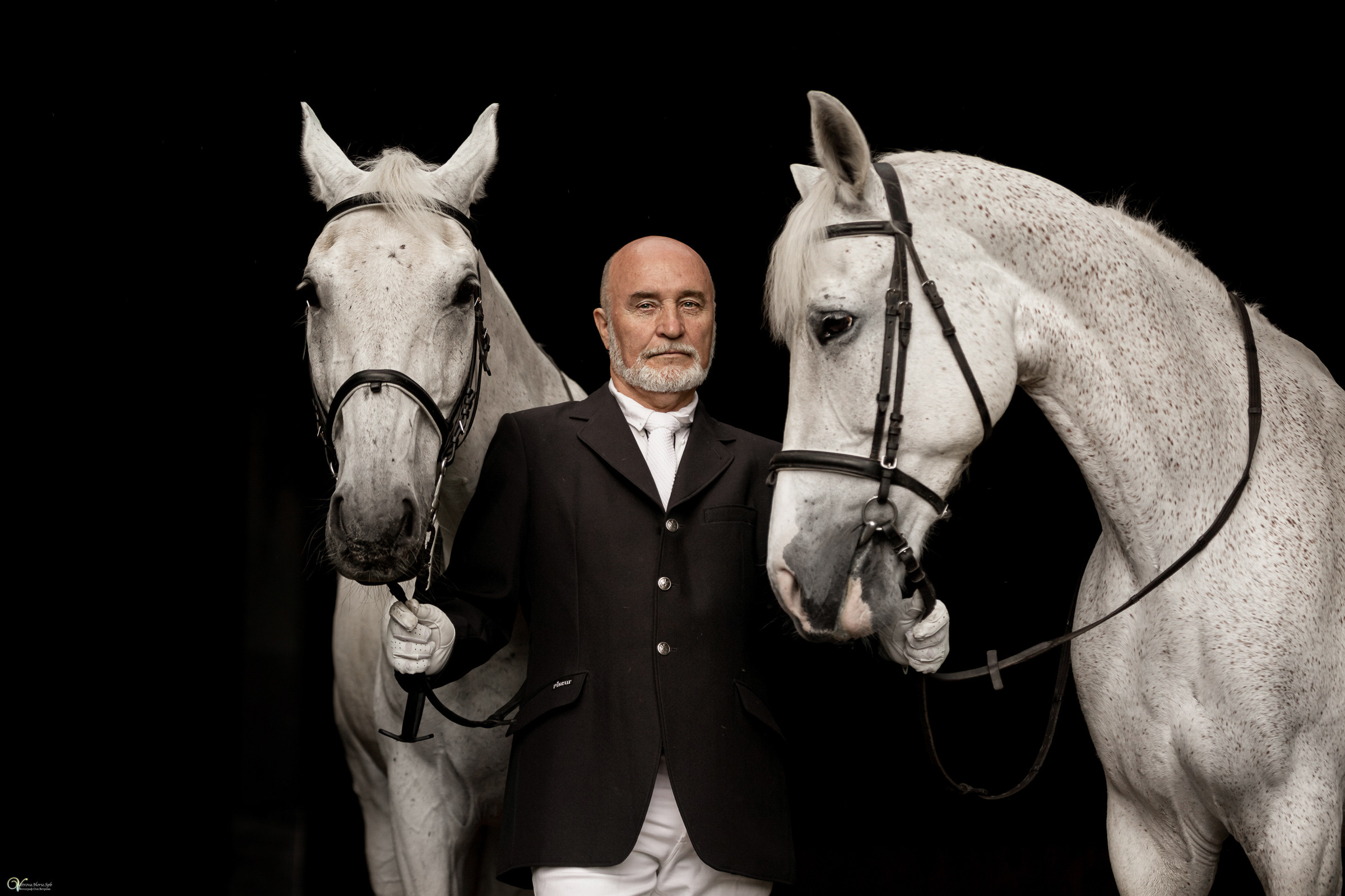 Портрет конника с одной лошадью. Фотограф женский и мужской портрет Санкт-Петербург