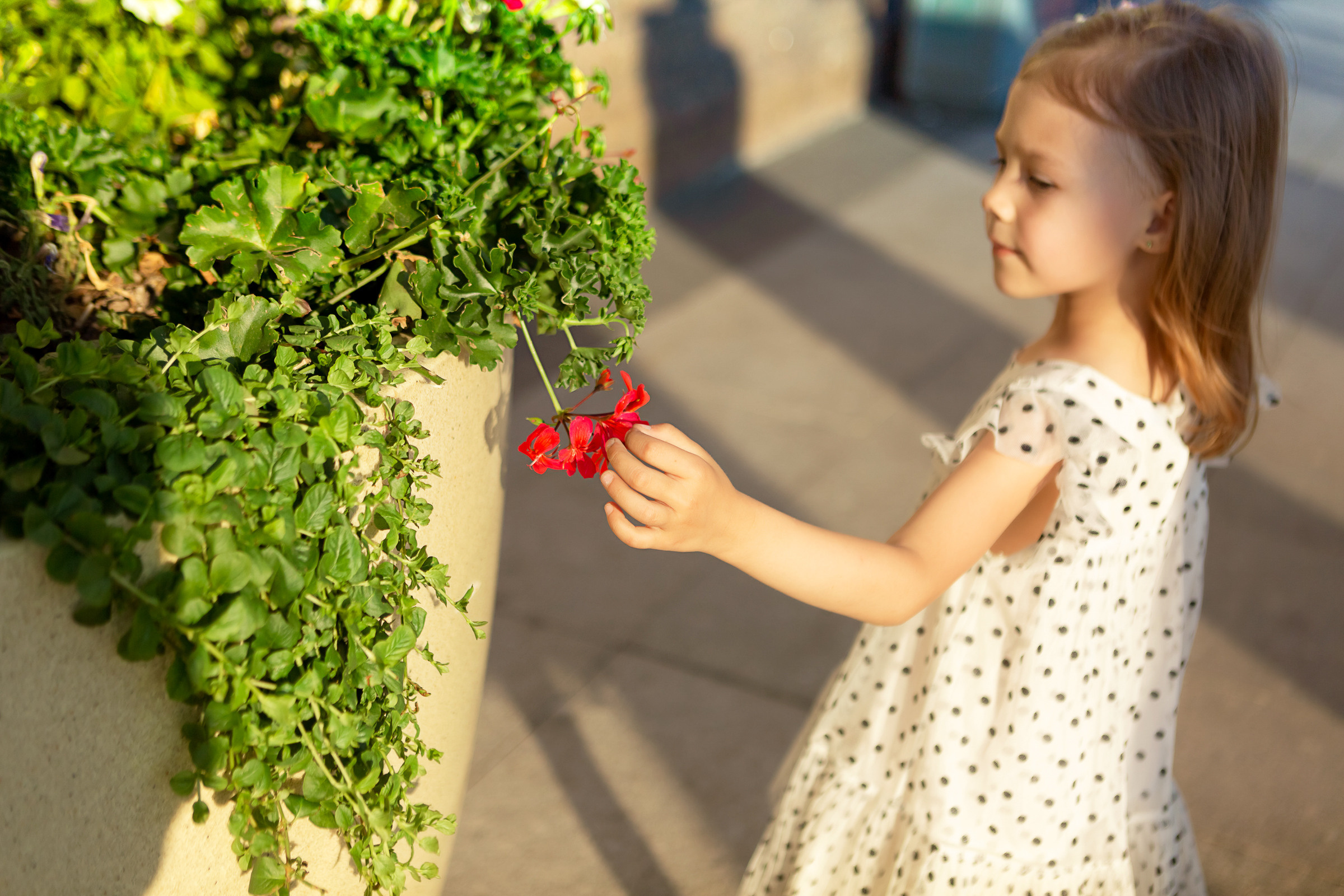 Прогулка по Петербургу 2022. Фотограф женский и мужской портрет Санкт-Петербург