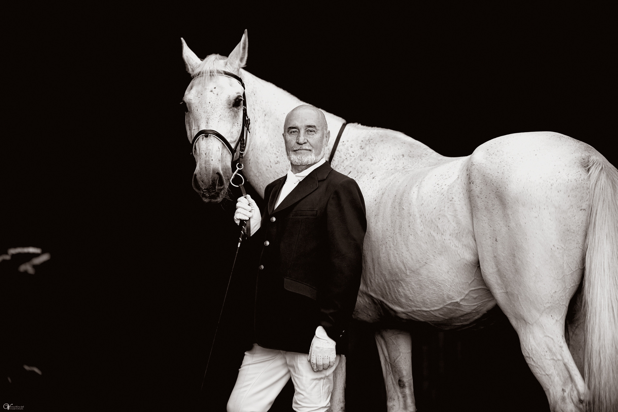 Портрет конника с одной лошадью. Фотограф женский и мужской портрет Санкт-Петербург