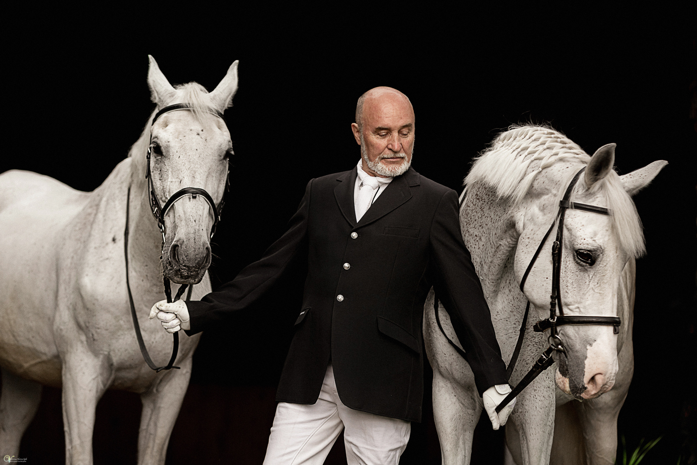 Портрет конника с одной лошадью. Фотограф женский и мужской портрет Санкт-Петербург