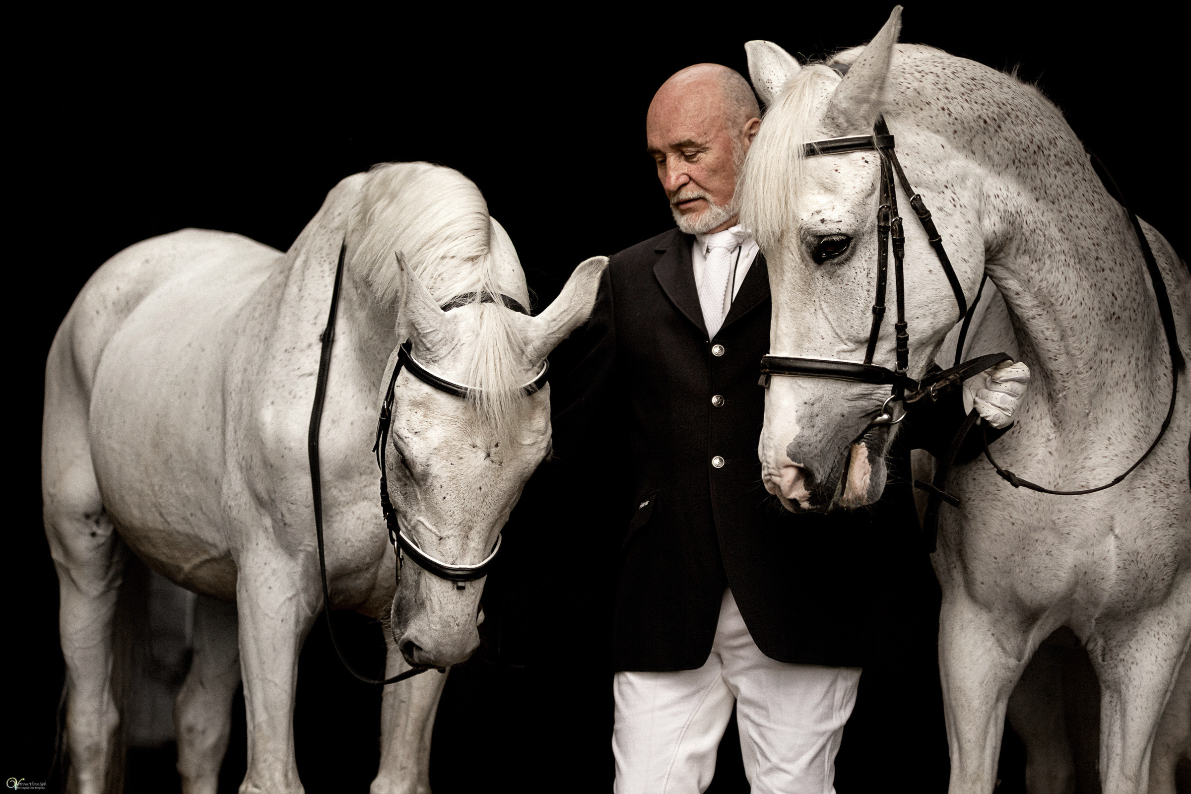 Портрет конника с одной лошадью. Фотограф женский и мужской портрет Санкт-Петербург