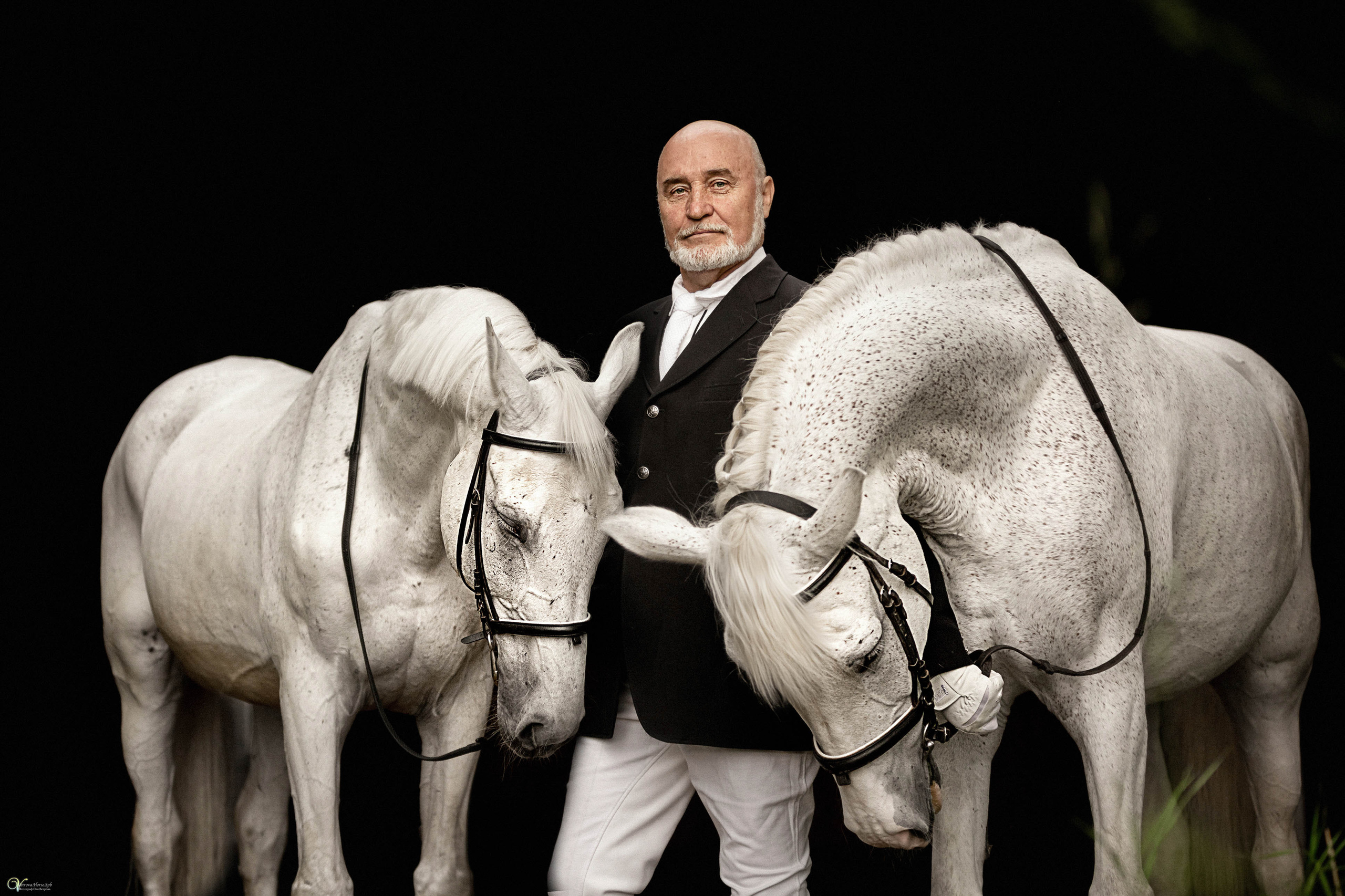 Портрет конника с одной лошадью. Фотограф женский и мужской портрет Санкт-Петербург