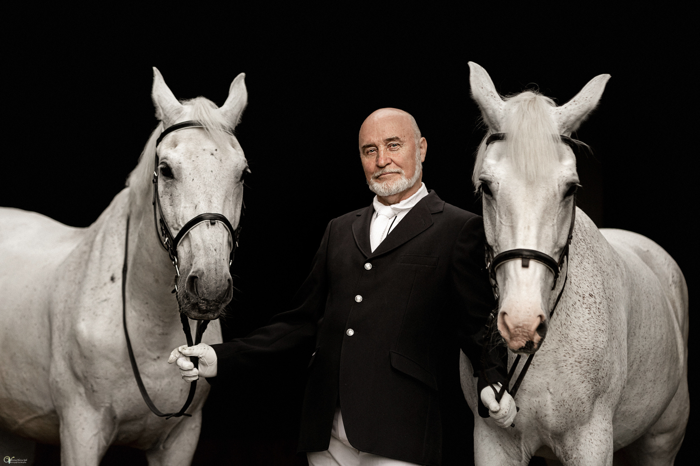 Портрет конника с одной лошадью. Фотограф женский и мужской портрет Санкт-Петербург