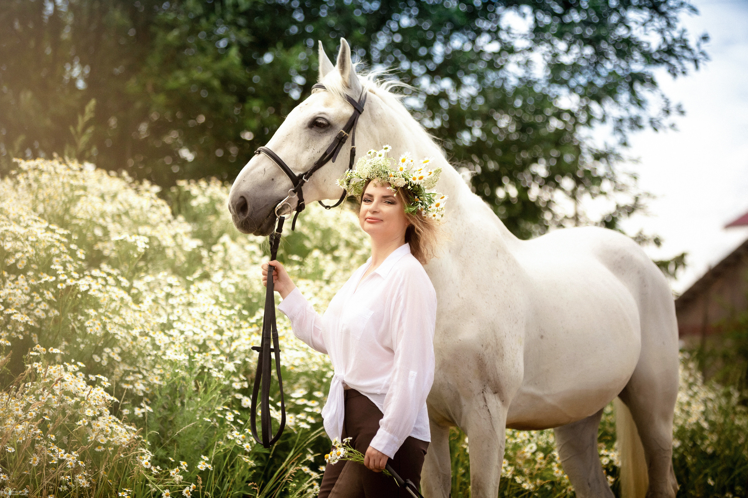 В поле с ромашками. Фотограф женский и мужской портрет Санкт-Петербург