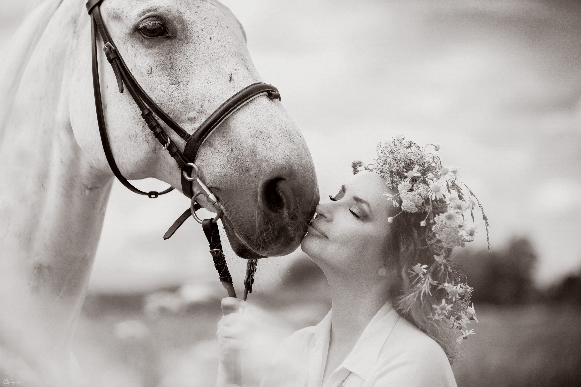 В поле с ромашками. Фотограф женский и мужской портрет Санкт-Петербург