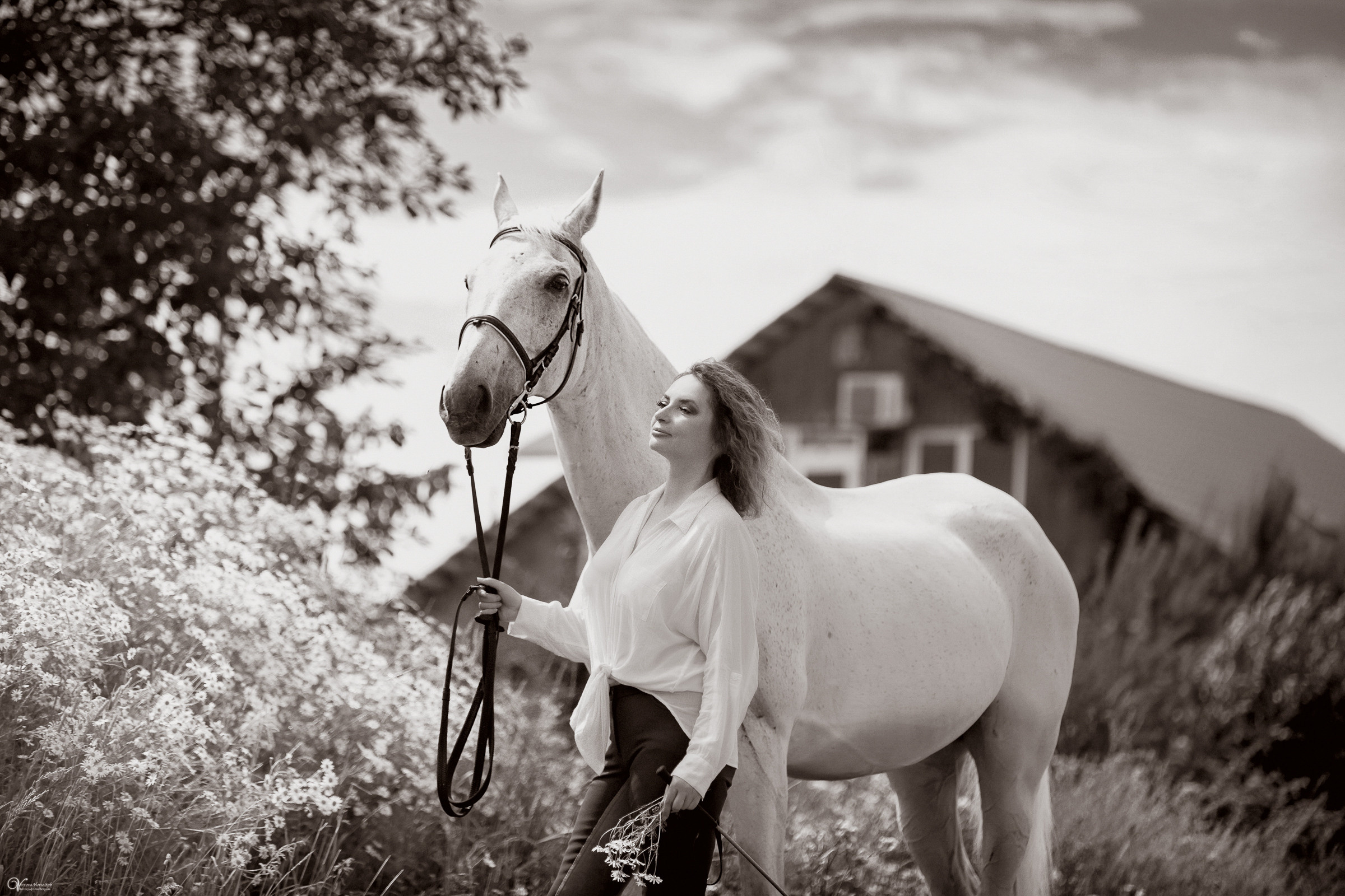 В поле с ромашками. Фотограф женский и мужской портрет Санкт-Петербург