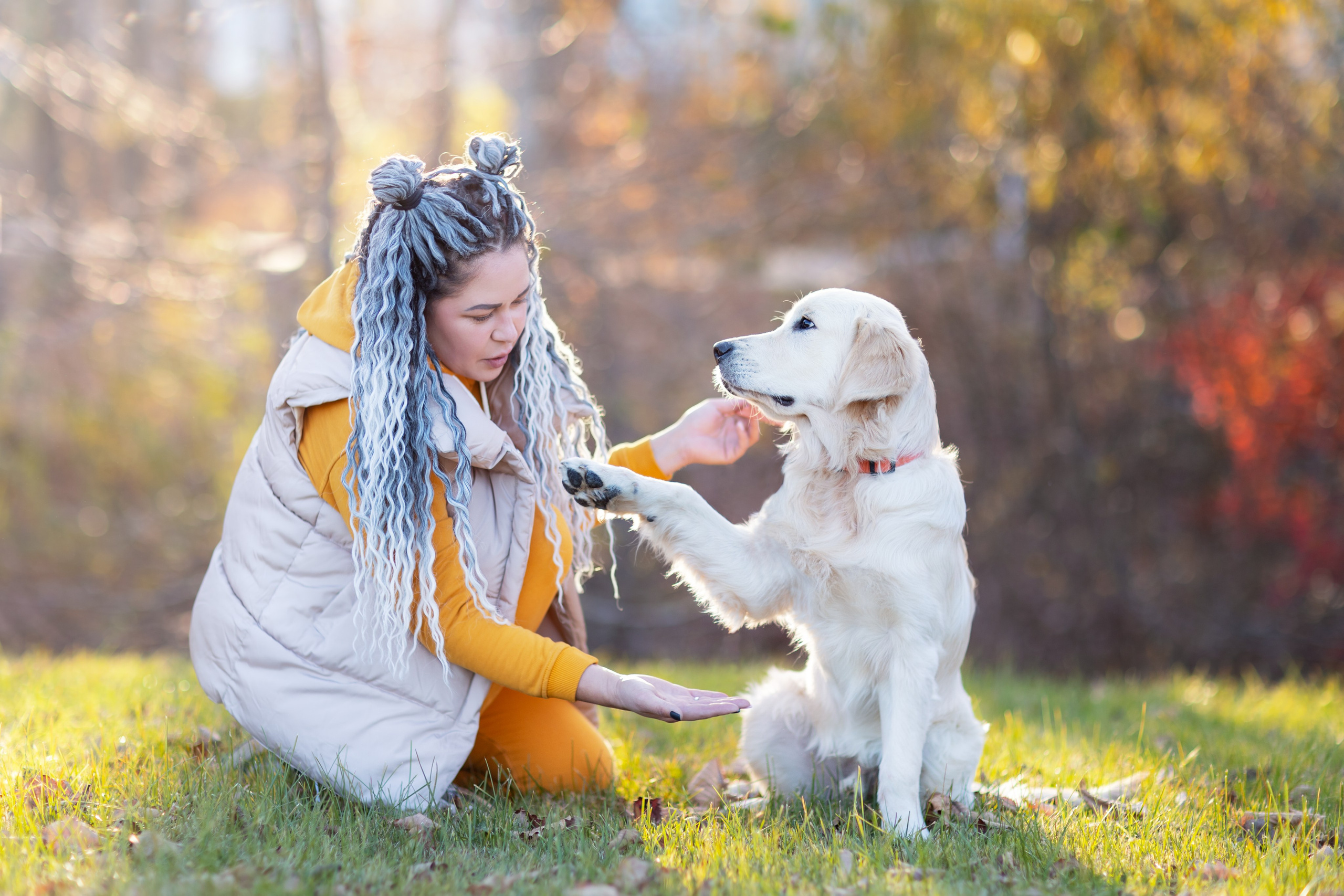 Животные. Семейный и детский фотограф во Владивостоке Ольга Потылицына