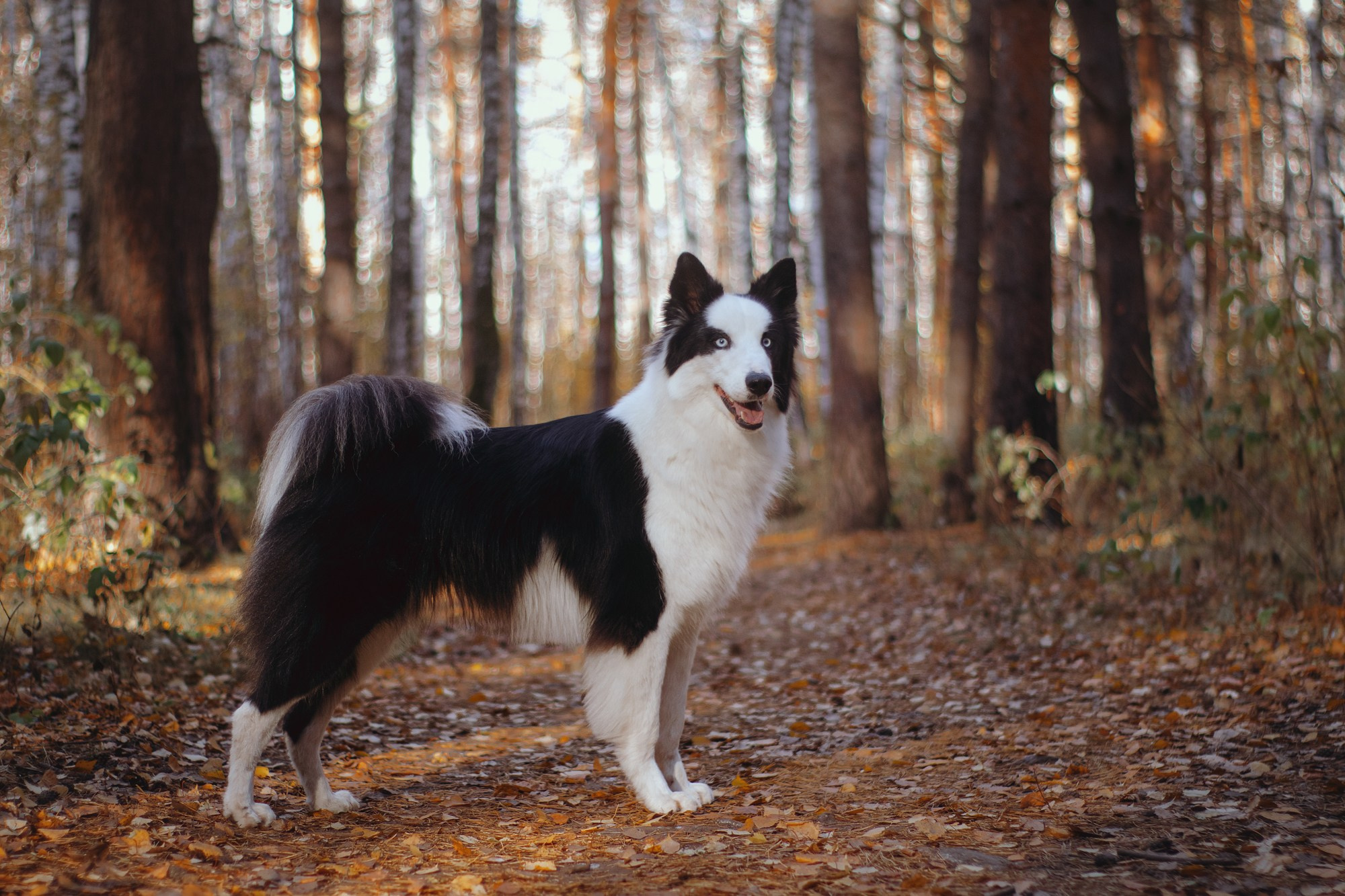 Ликёр. Фотограф в Тюмени Лизавета Сапицкая