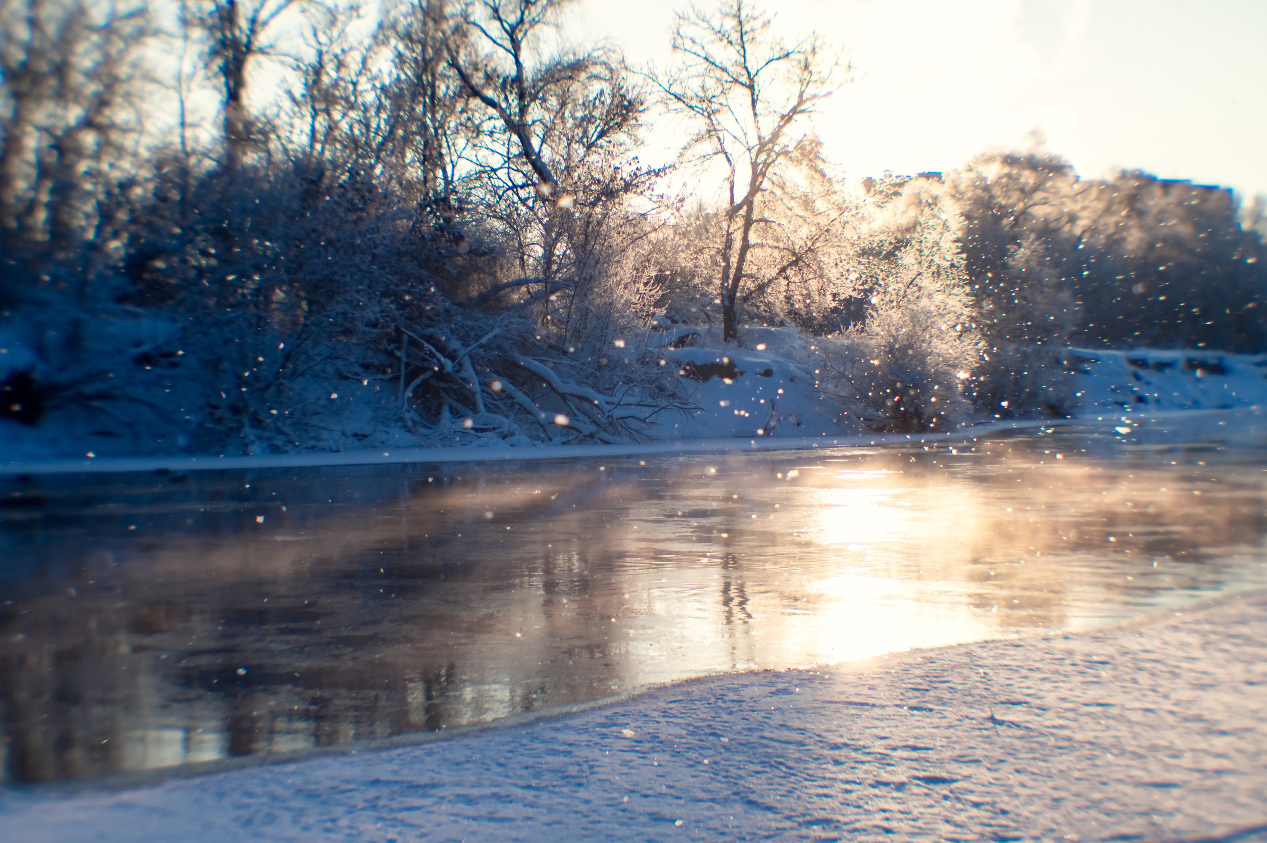 Зимушка зима. Фотограф Крещение Венчание Москва