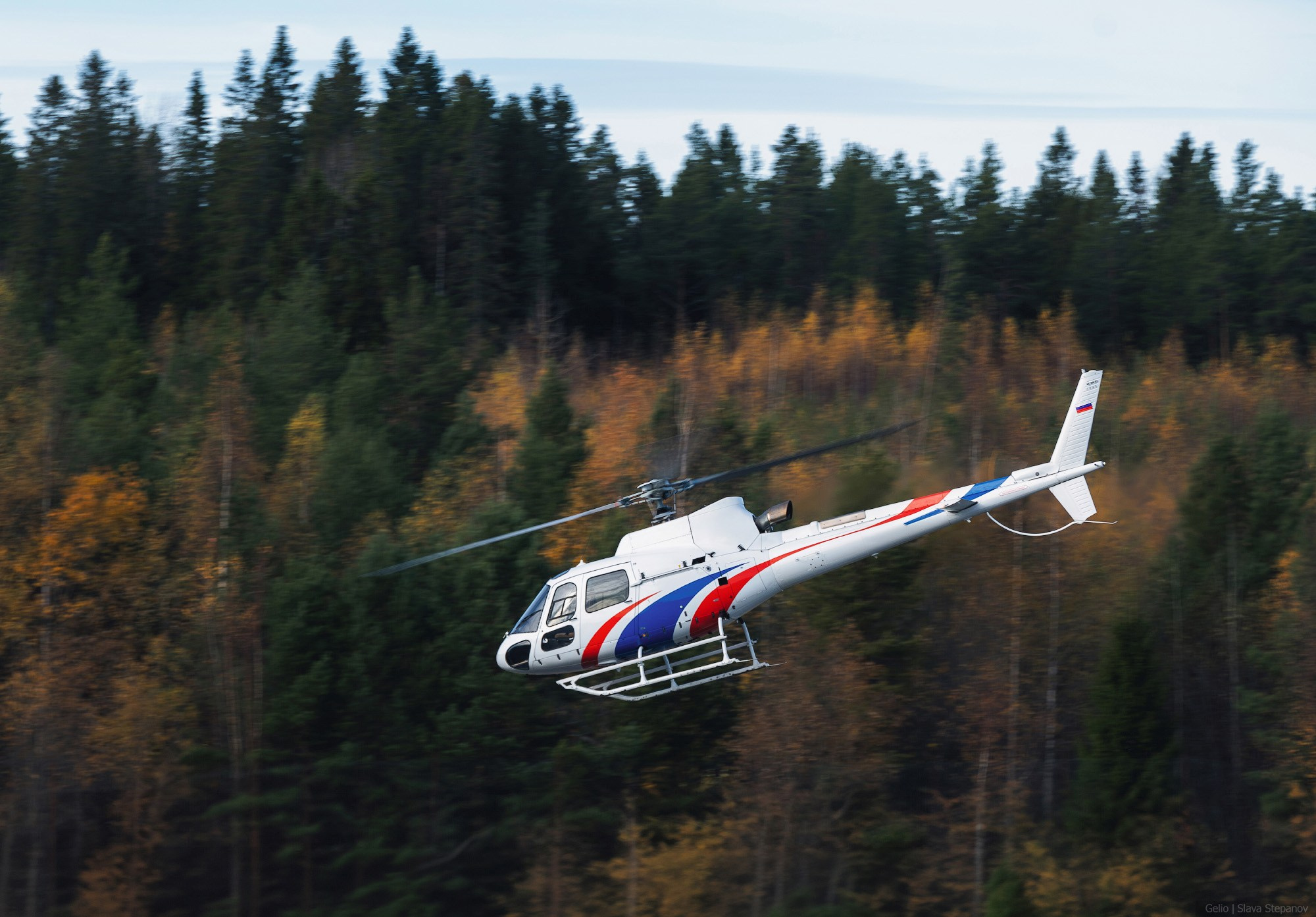 Аваиция. Фотограф Слава Степанов, Gelio