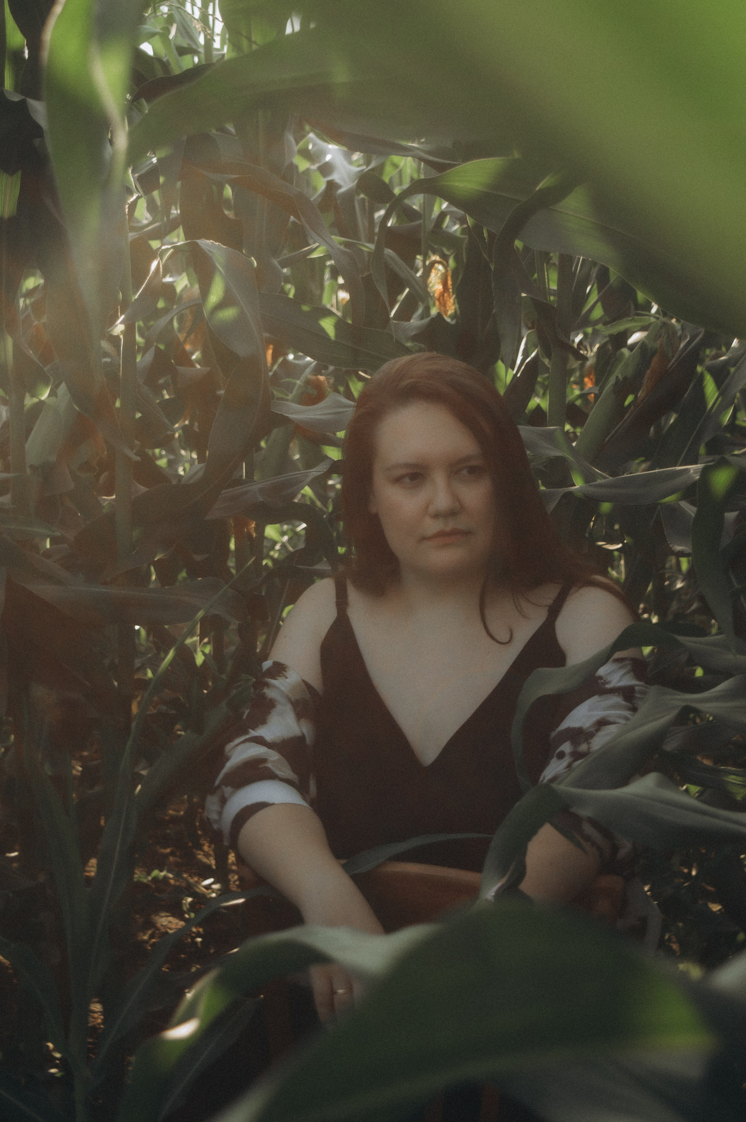 Аня. Фотосессия на кукурузном поле. Юлия Левада Семейный и женский фотограф