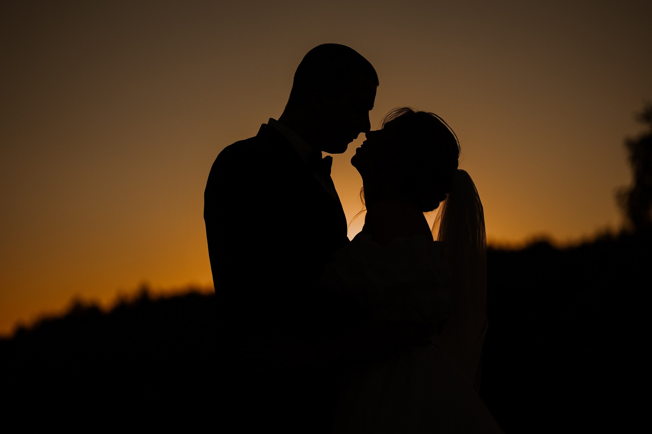 Илья и Елизавета. Свадебный фотограф Ярославль Дмитрий Васячкин